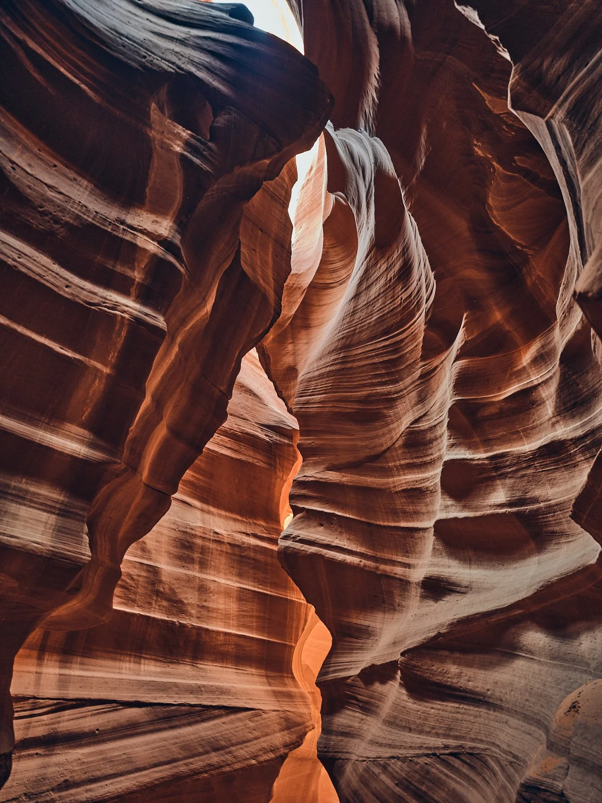 2024.Antelope_©CyrilPerregaux.027.jpg