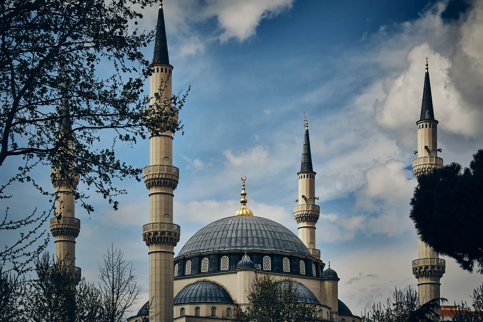 TIRANA_ARCHITECTURE_SITE INTERNET_SQUARESPACE_34.jpg