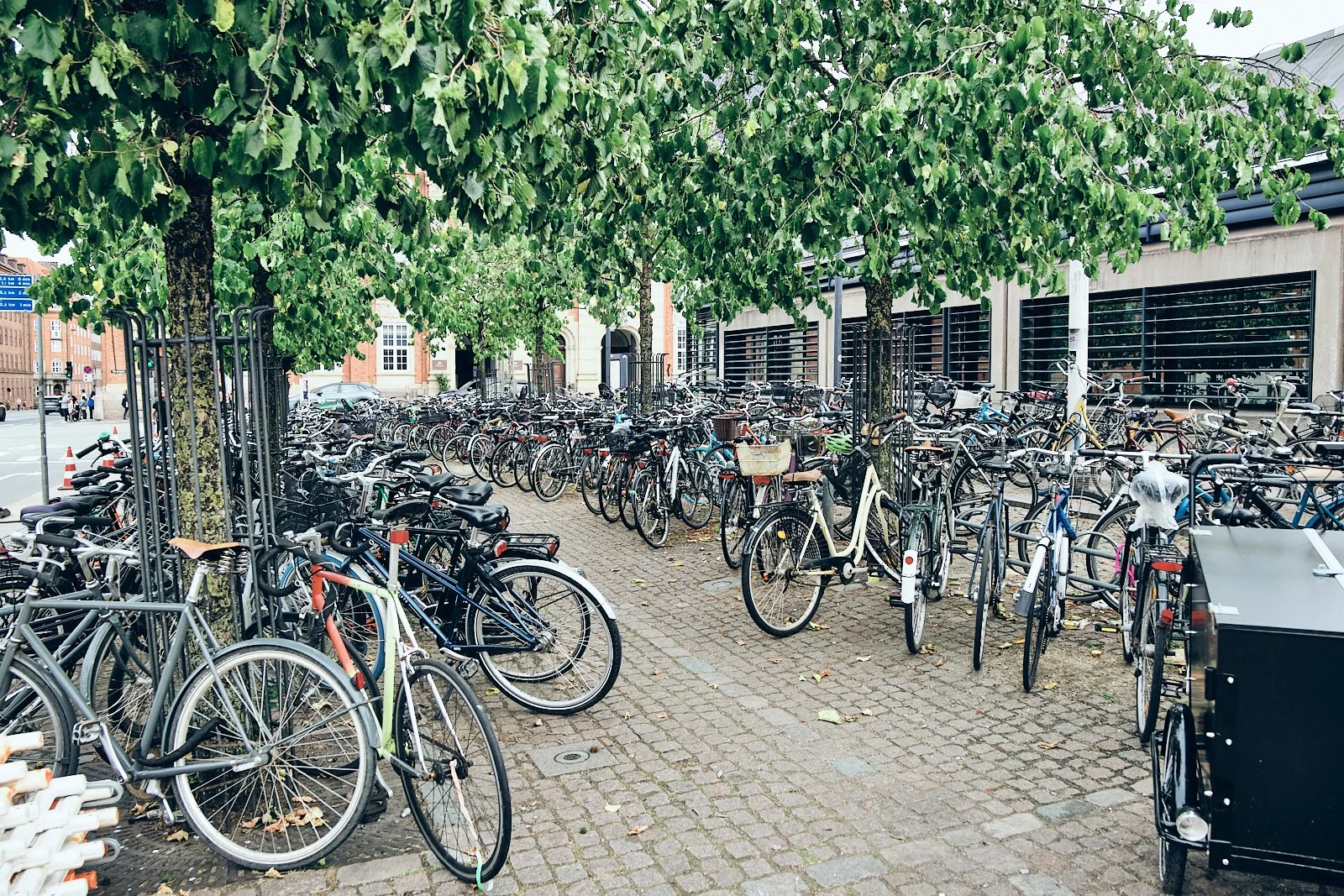 V_copenhague__b0707__3W.CØPENHAGEN BIKE.3.jpg