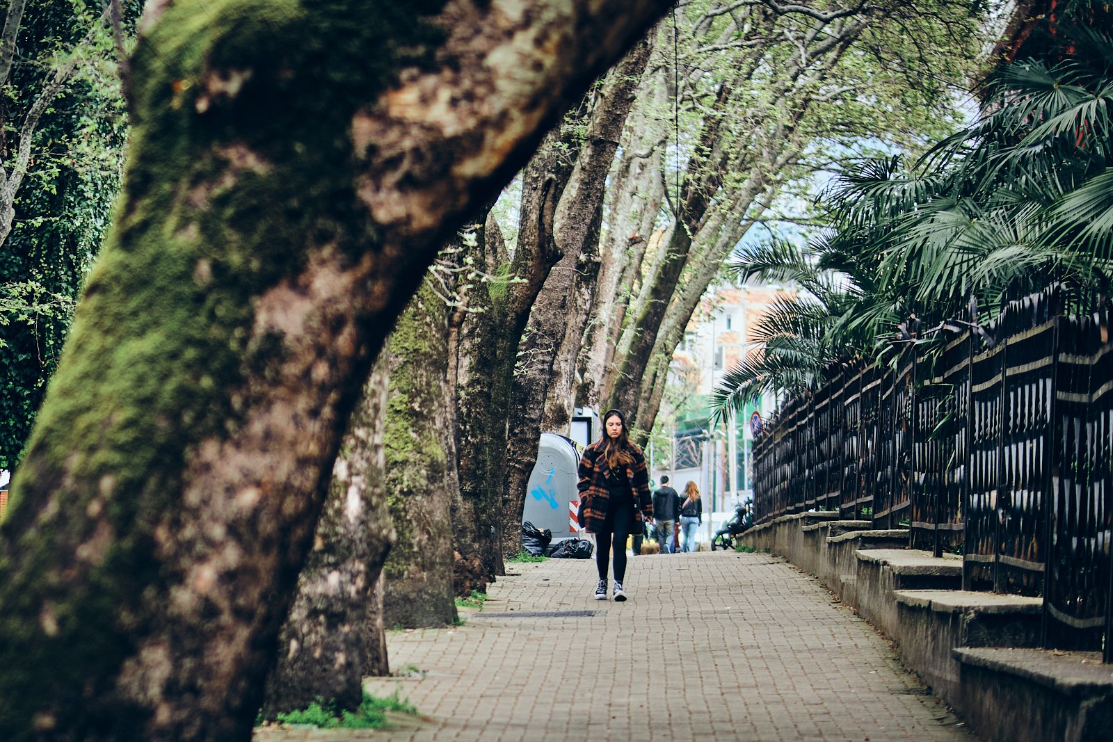 TIRANA_PEOPLE_SITE INTERNET_SQUARESPACE_8.jpg