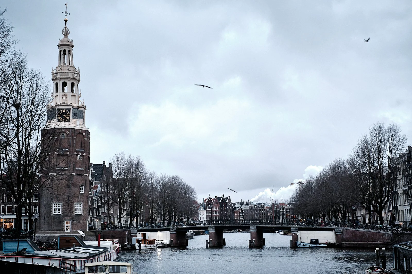 AMSTERDAM STREETPHOTOGRAPHY 101 117.jpg
