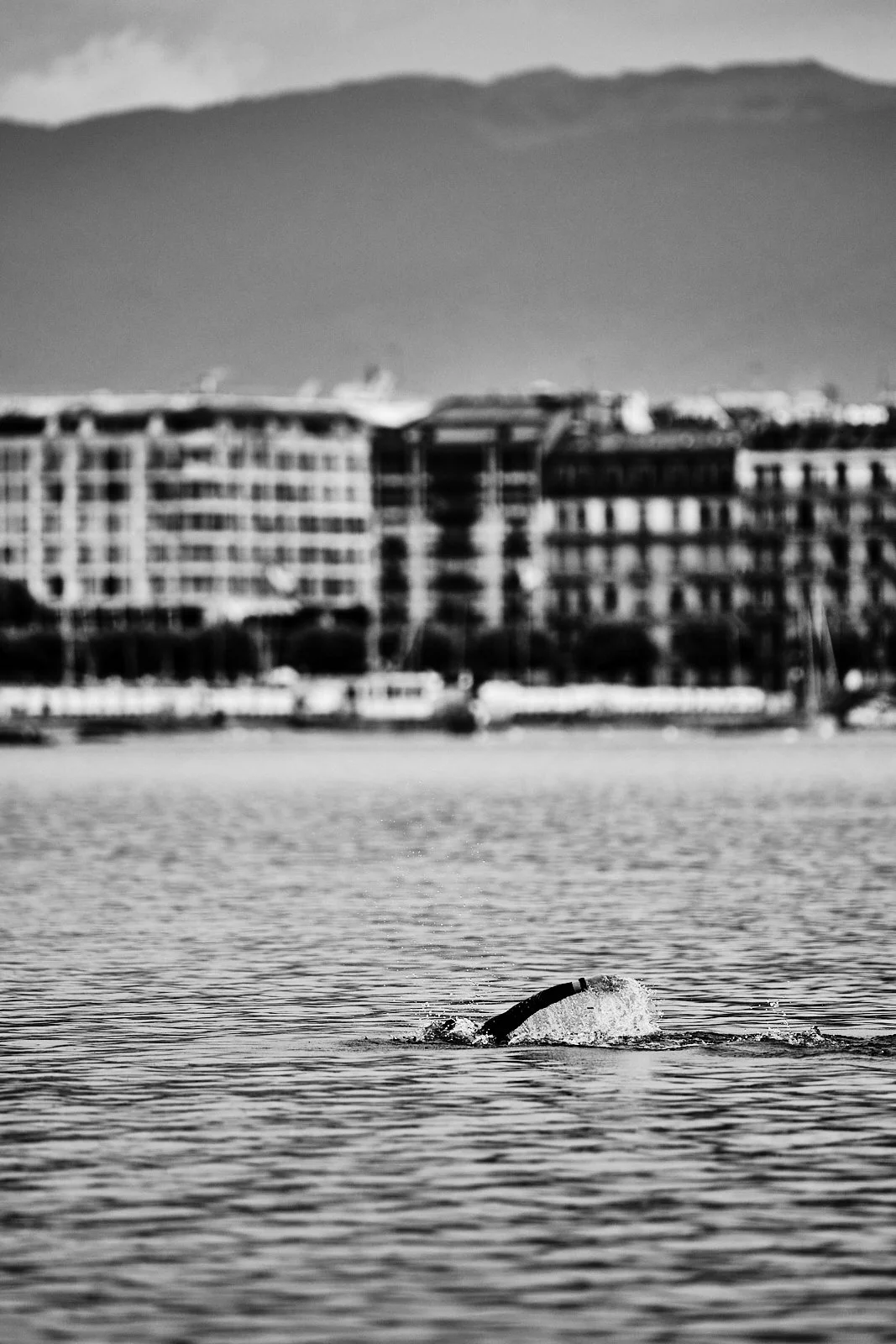 TRIATHLON GENEVE 2024_©CyrilPerregaux.044.jpg