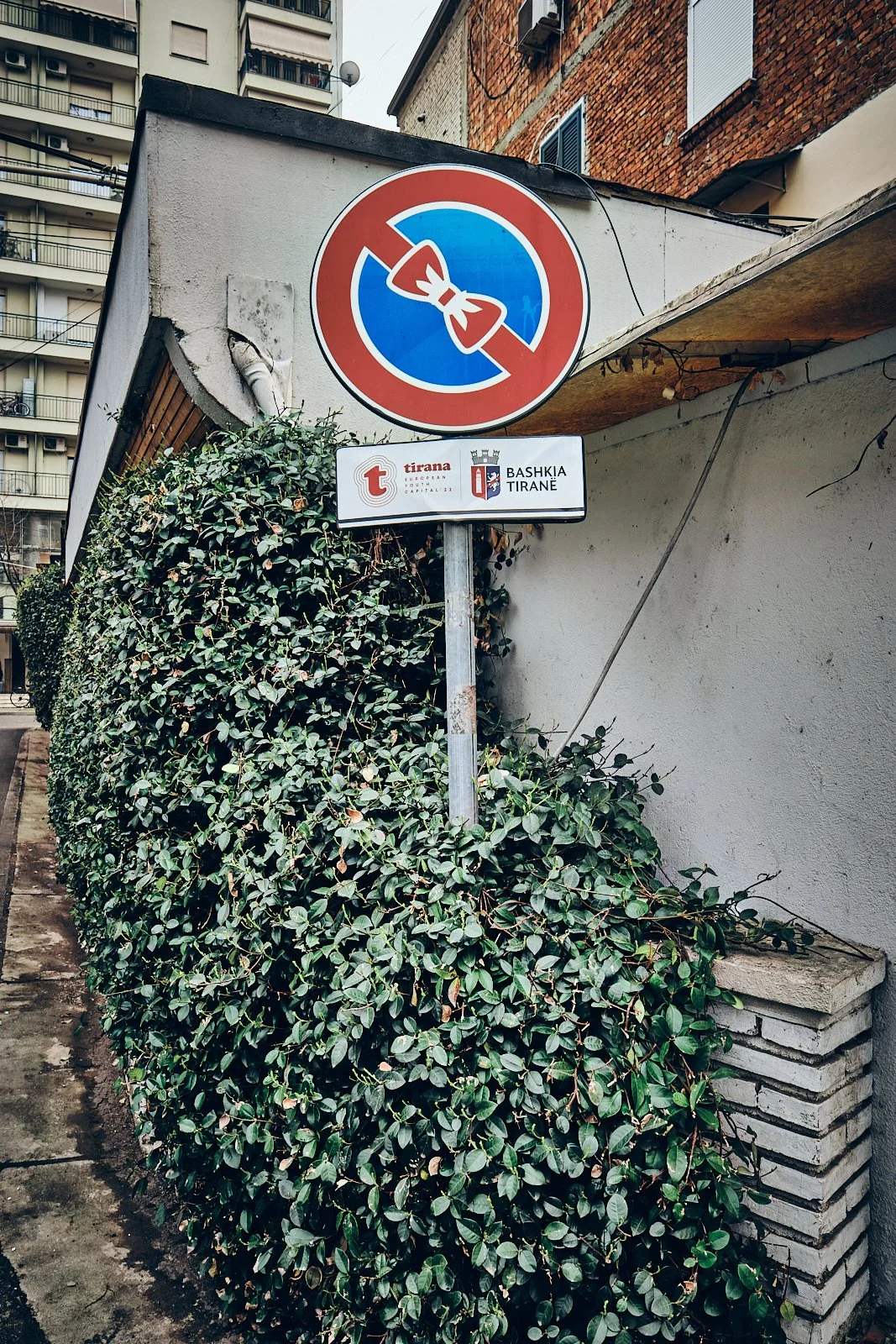 TIRANA_AMBIANCES_SITE INTERNET_SQUARESPACE_33.jpg
