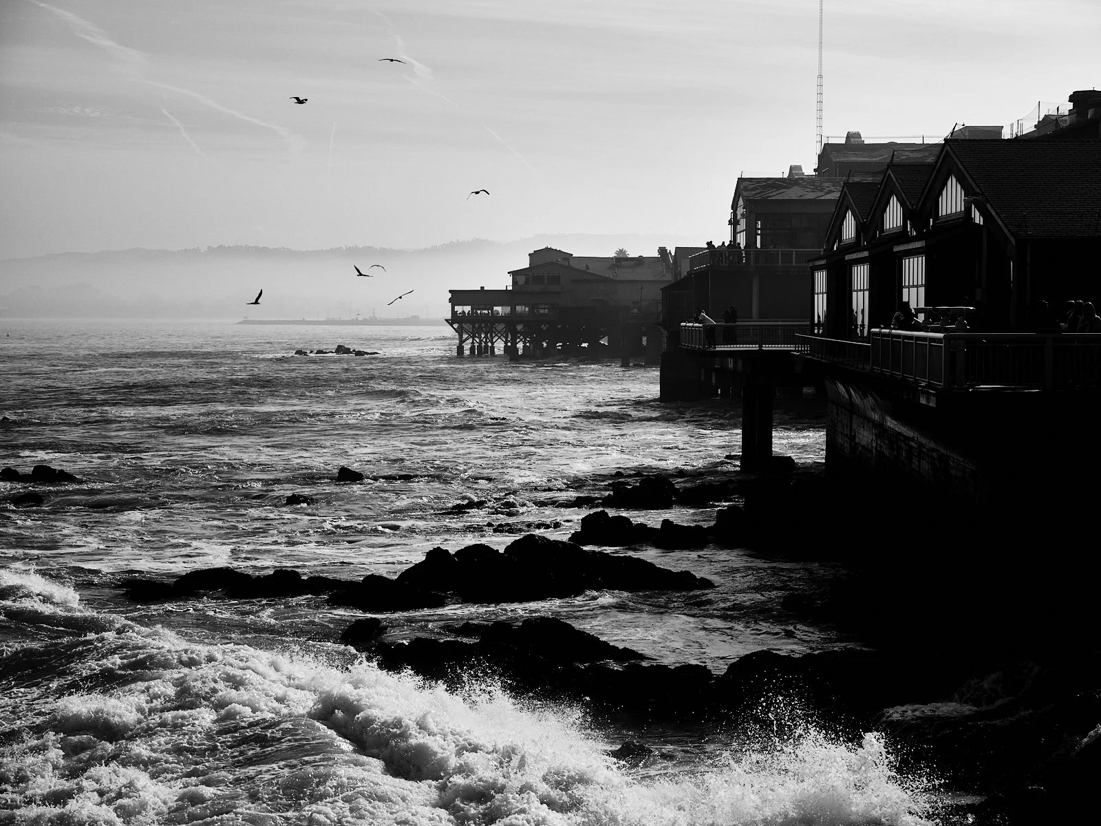 2024.Monterey_SantaCruz_©CyrilPerregaux.015.jpg