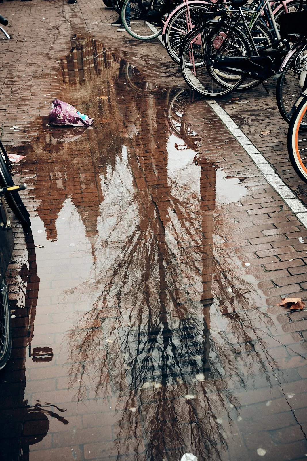 V_amsterdam__b0634__AMSTERDAM STREETPHOTOGRAPHY 101 46.jpg