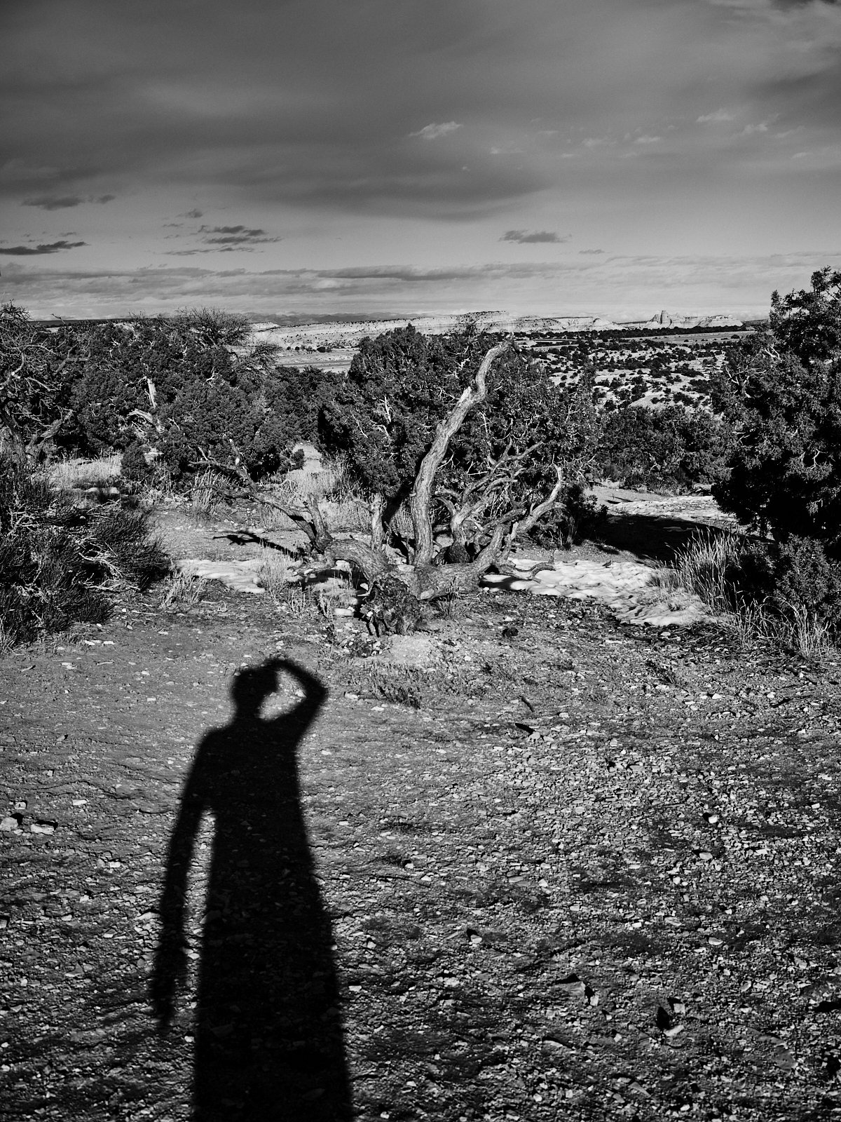 2024.RoadTrip_BryceCanyon_©CyrilPerregaux.004.jpg