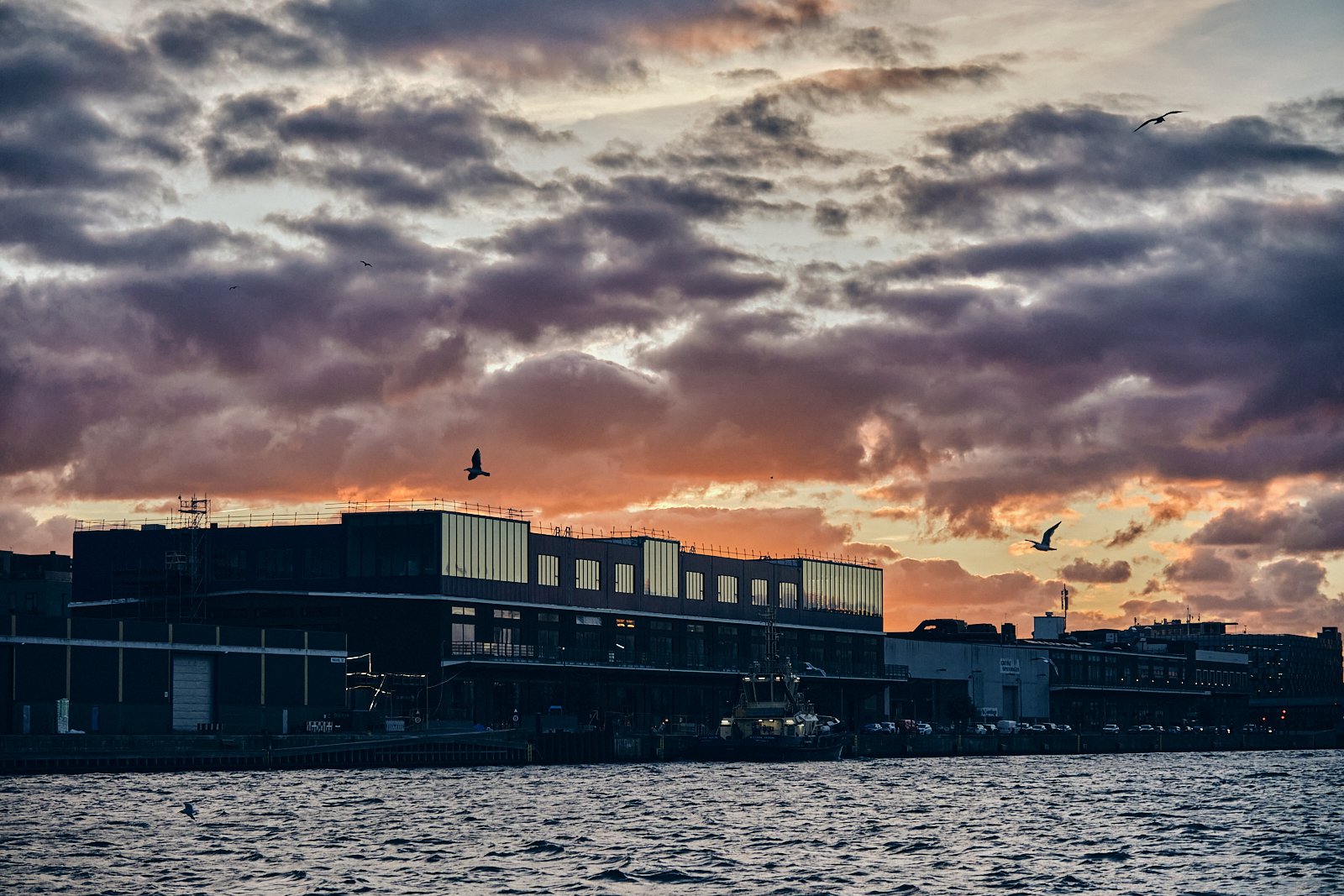 2025_CØPENHAGEN_Archi_©CyrilPerregaux.024.jpg