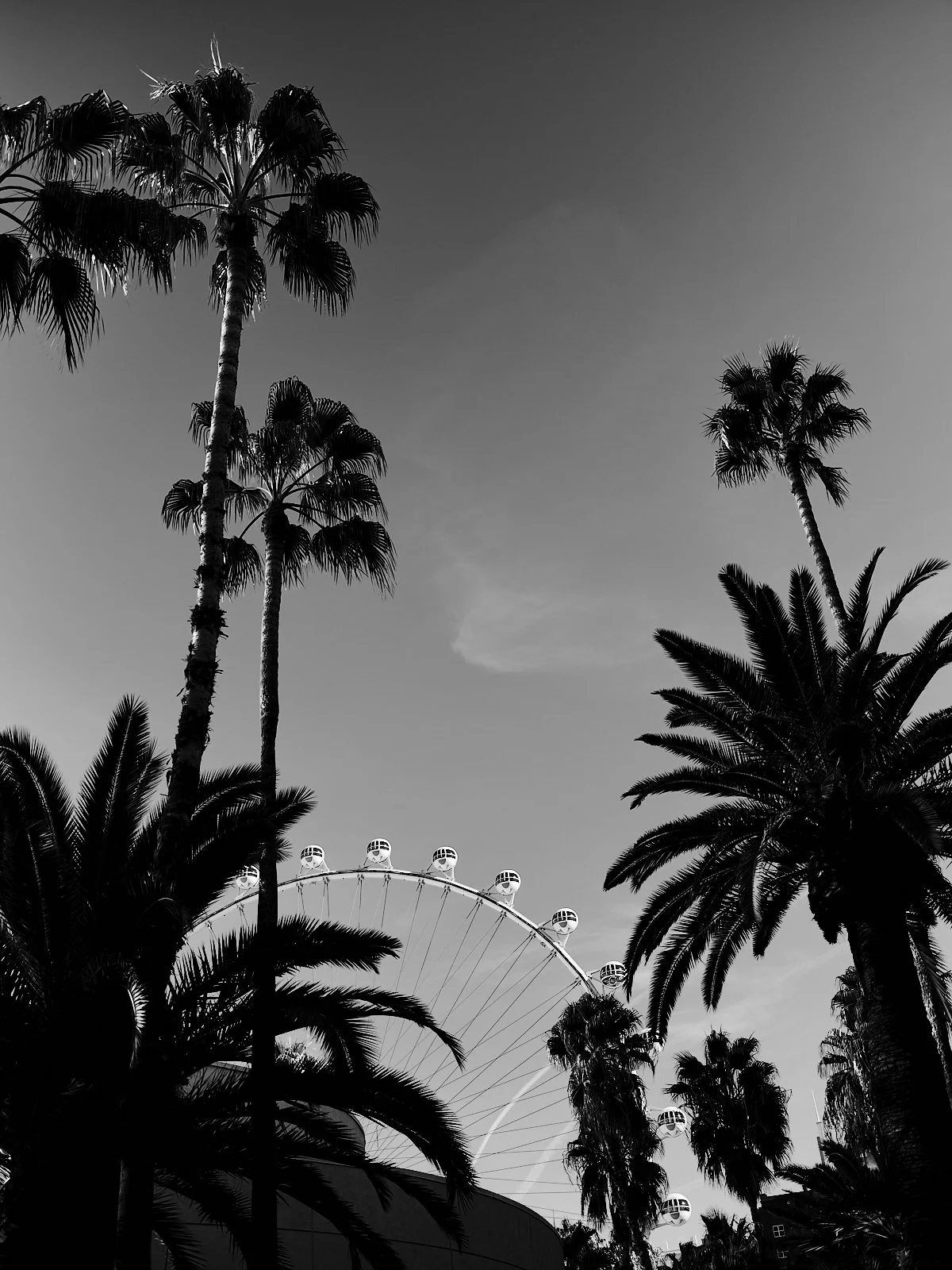 2025.WeAreLasVegas_Street_©CyrilPerregaux.045.jpg