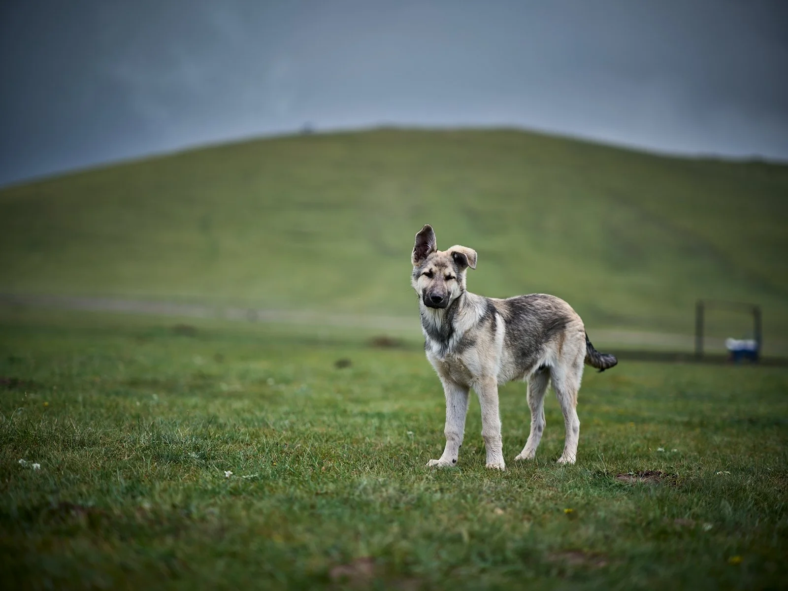 2026.KIRGHIZSTAN_LAC SONG KUL_©CyrilPerregaux.181.jpg