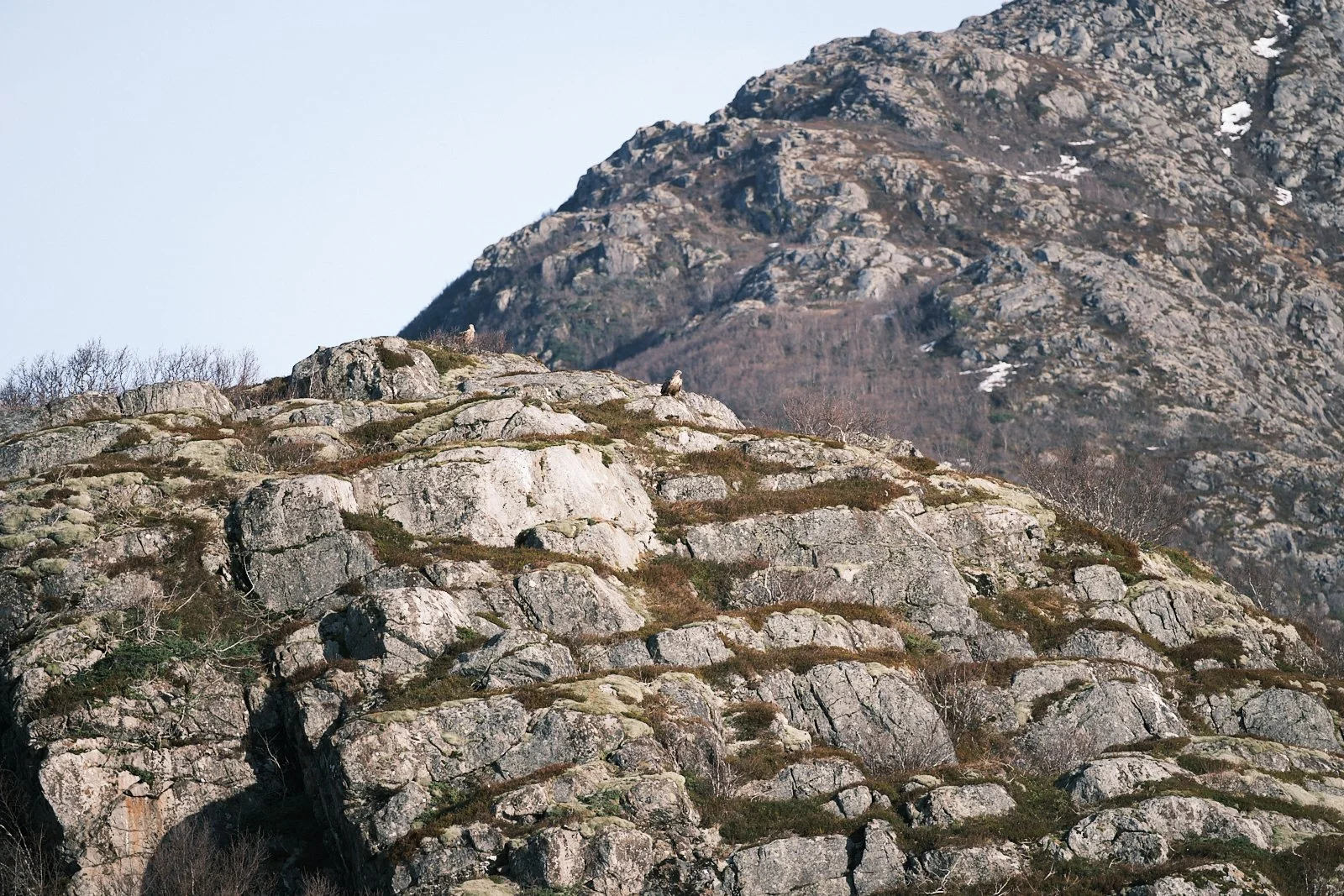 2026.04.08_SVOLVAER-TROLLFJORD-DAY 008 XH2-S.011.3W.3.jpg