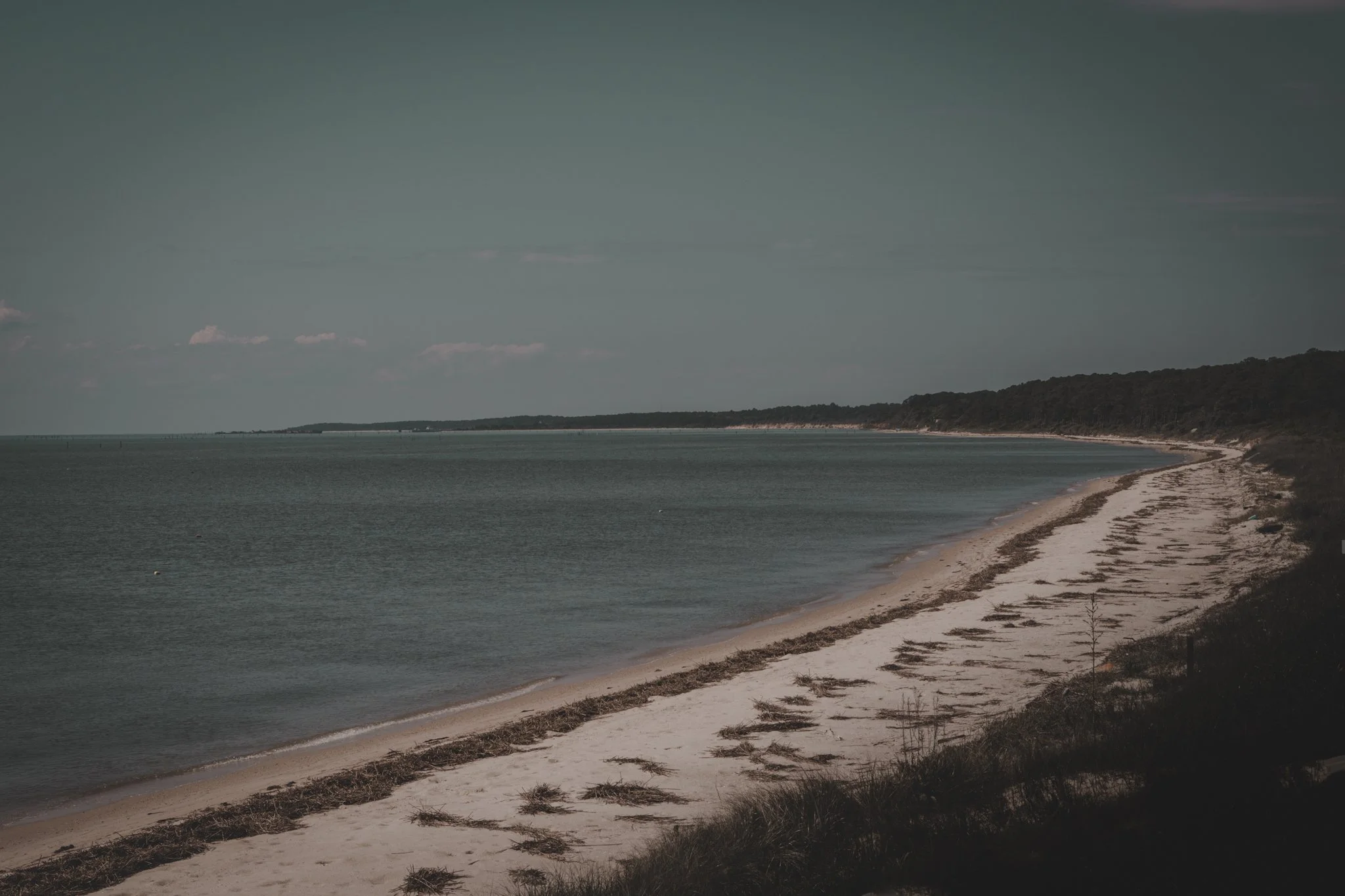 A view of a sandy shoreline along a calm body of water, with a distant tree-covered hill under a cloudy sky.