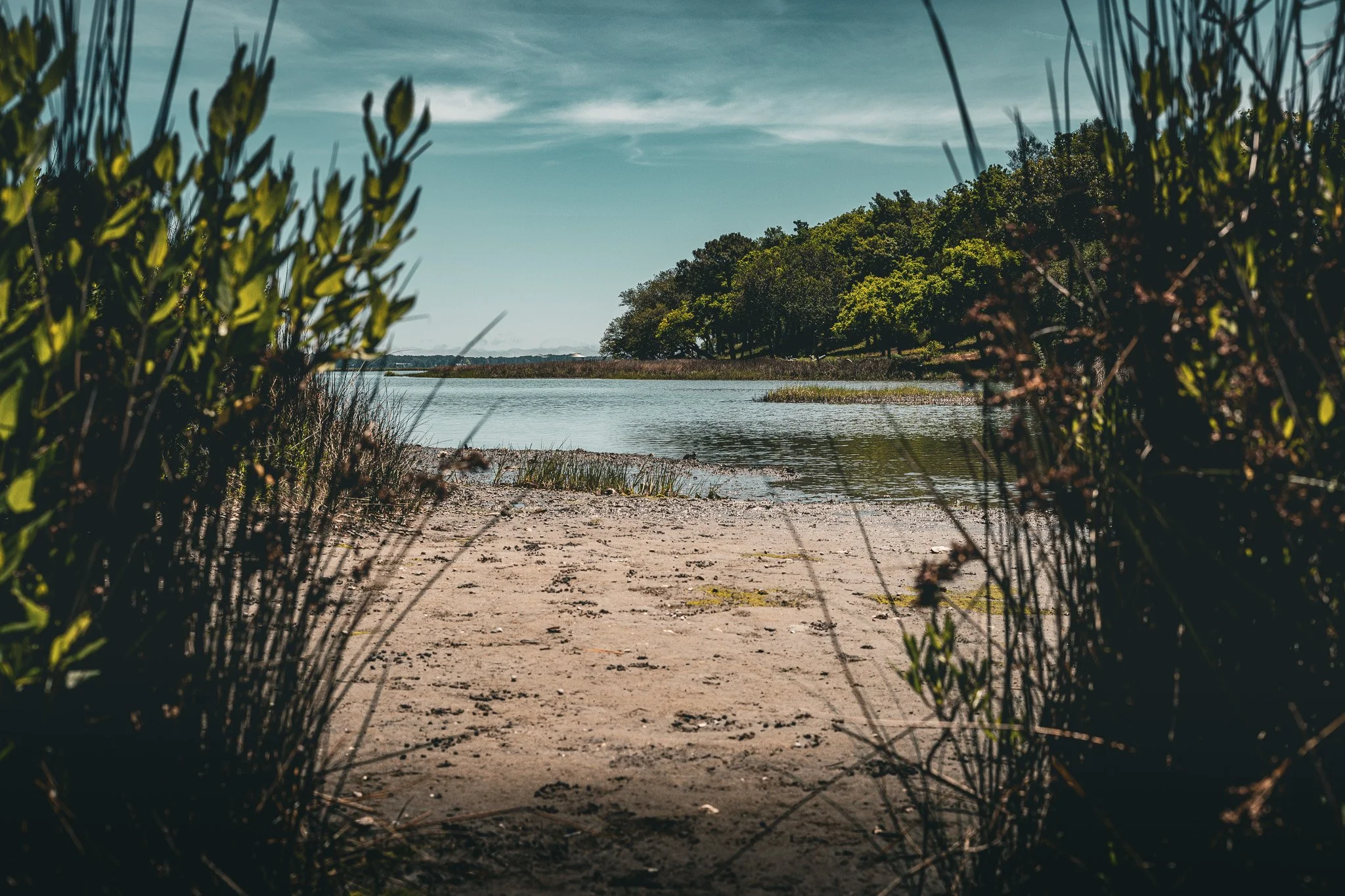 A view of a river or lake with a tree-lined shore in the background, framed by green bushes and plants in the foreground, under a partly cloudy sky.