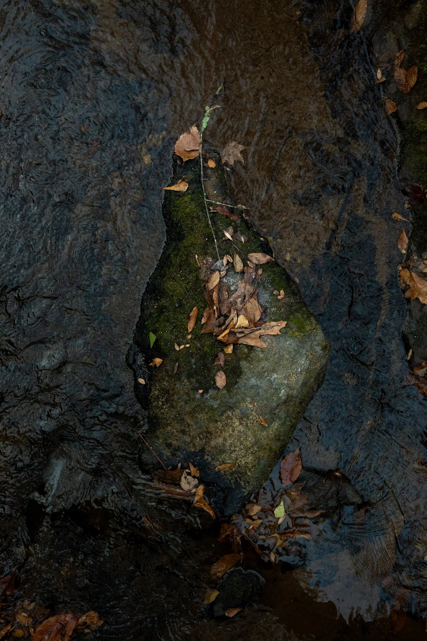 Rock Island