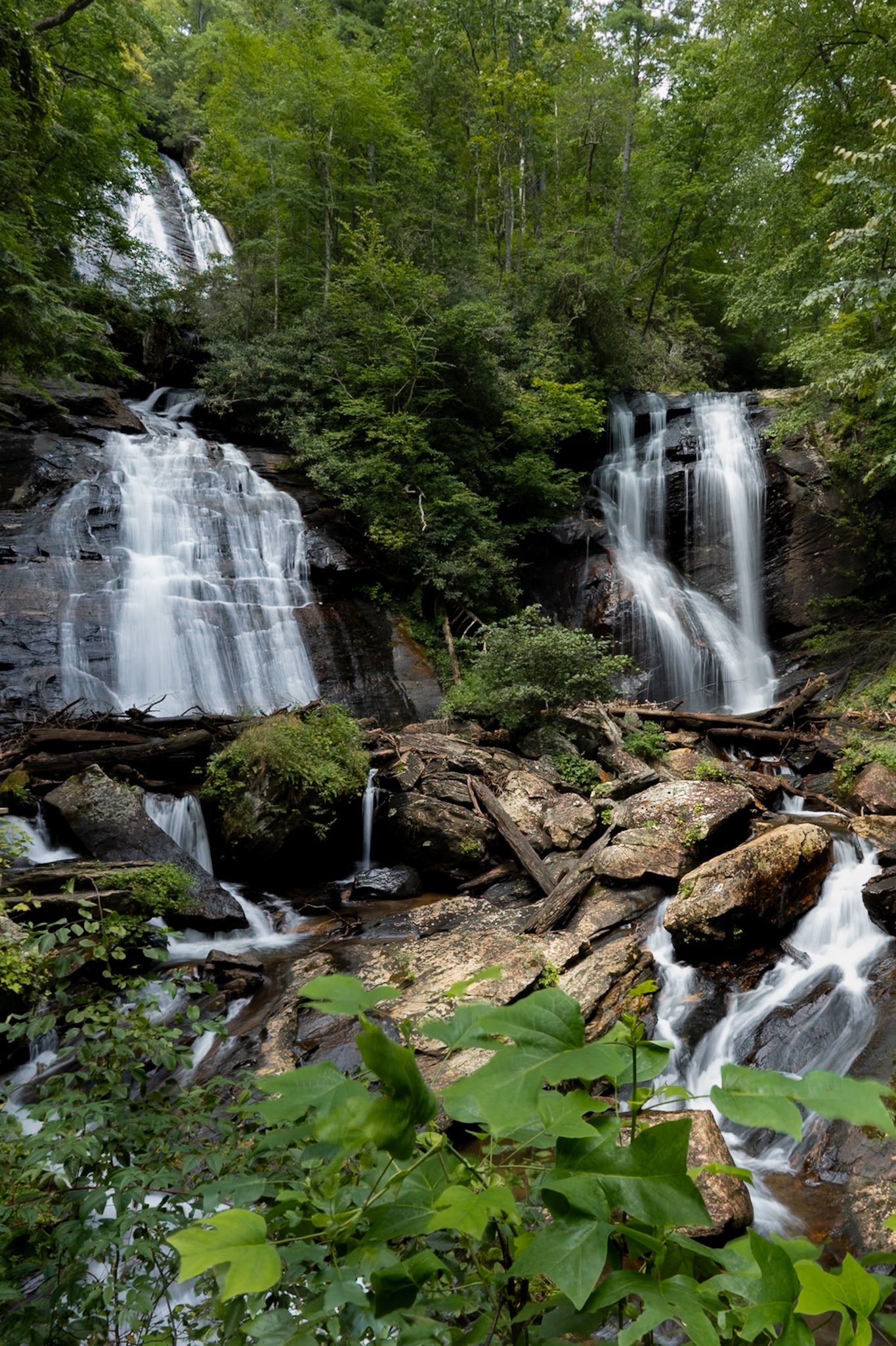 Waterfalls flowing over rocks with lush green trees and foliage surrounding them in a forest setting.
