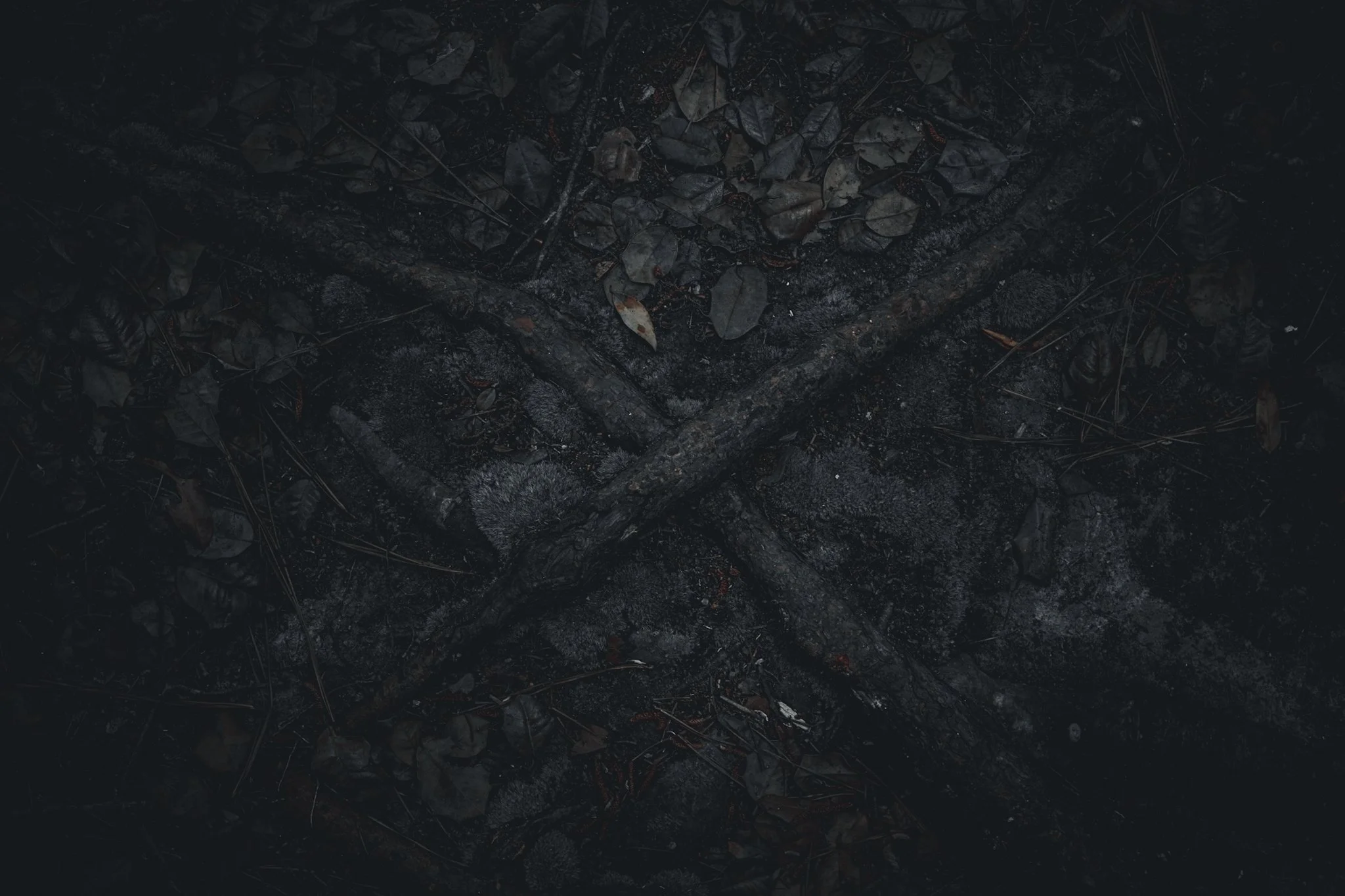 Burnt leaves and ash on dark soil, with charred wood and debris scattered around.