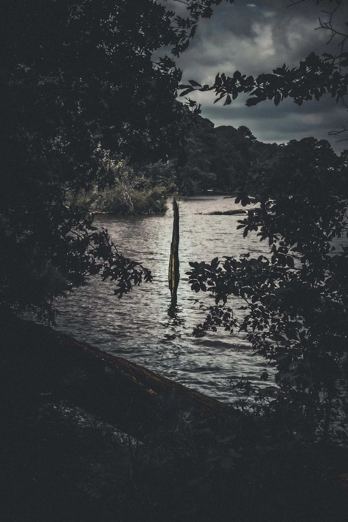 A dark, nighttime river scene framed by dense tree branches and leaves, with cloudy sky overhead.