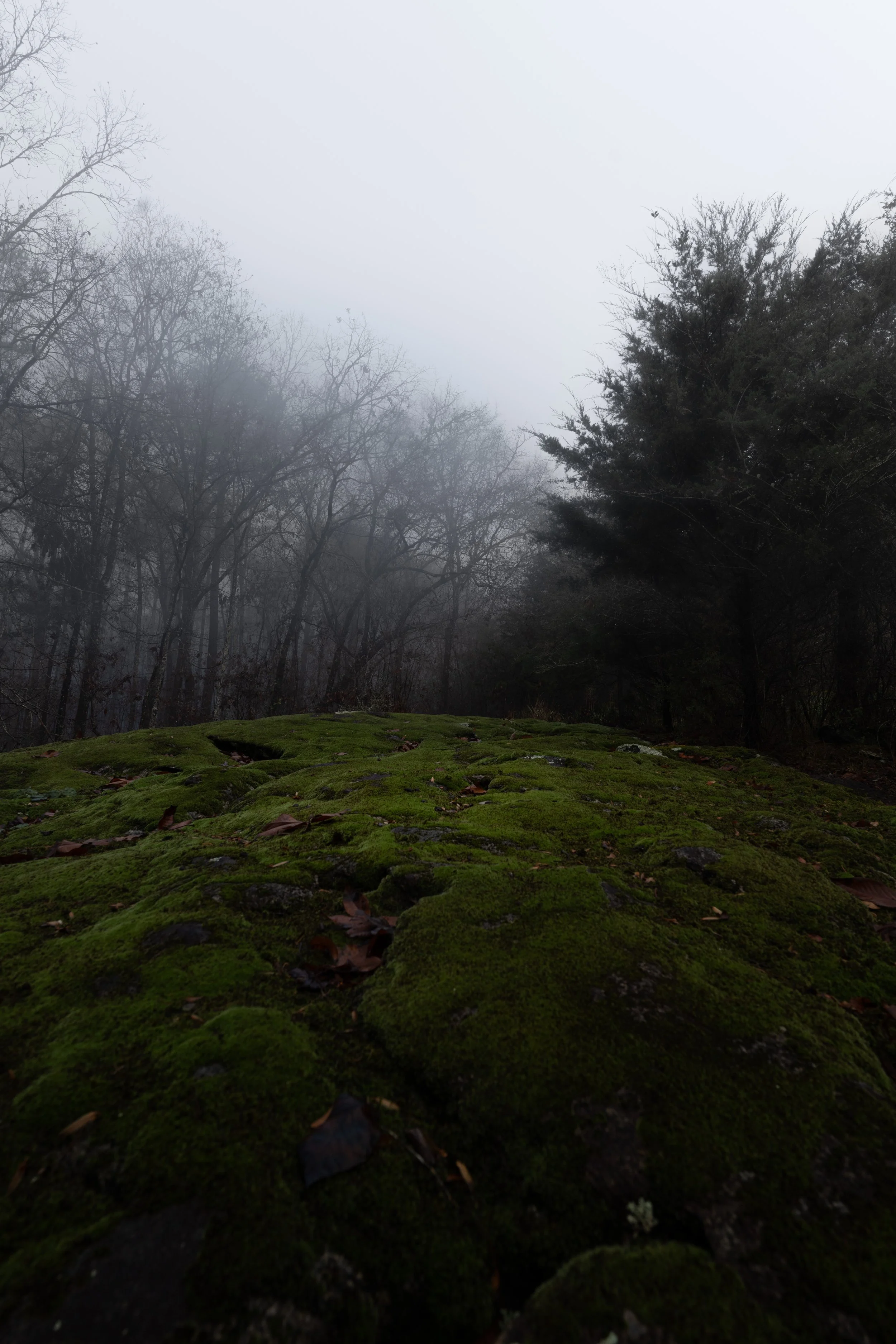 The Alter of Green