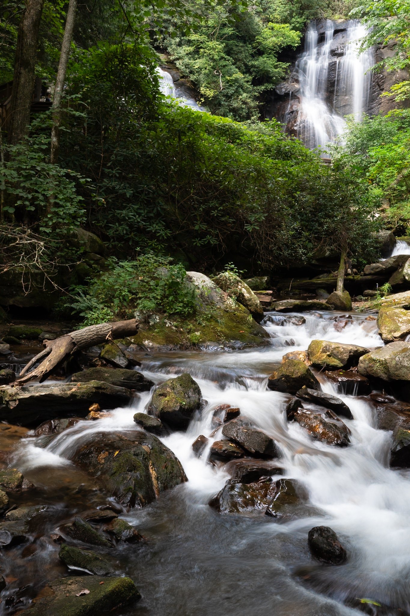 A cascading waterfall flows down a rocky cliff surrounded by lush green trees and foliage in a forest.