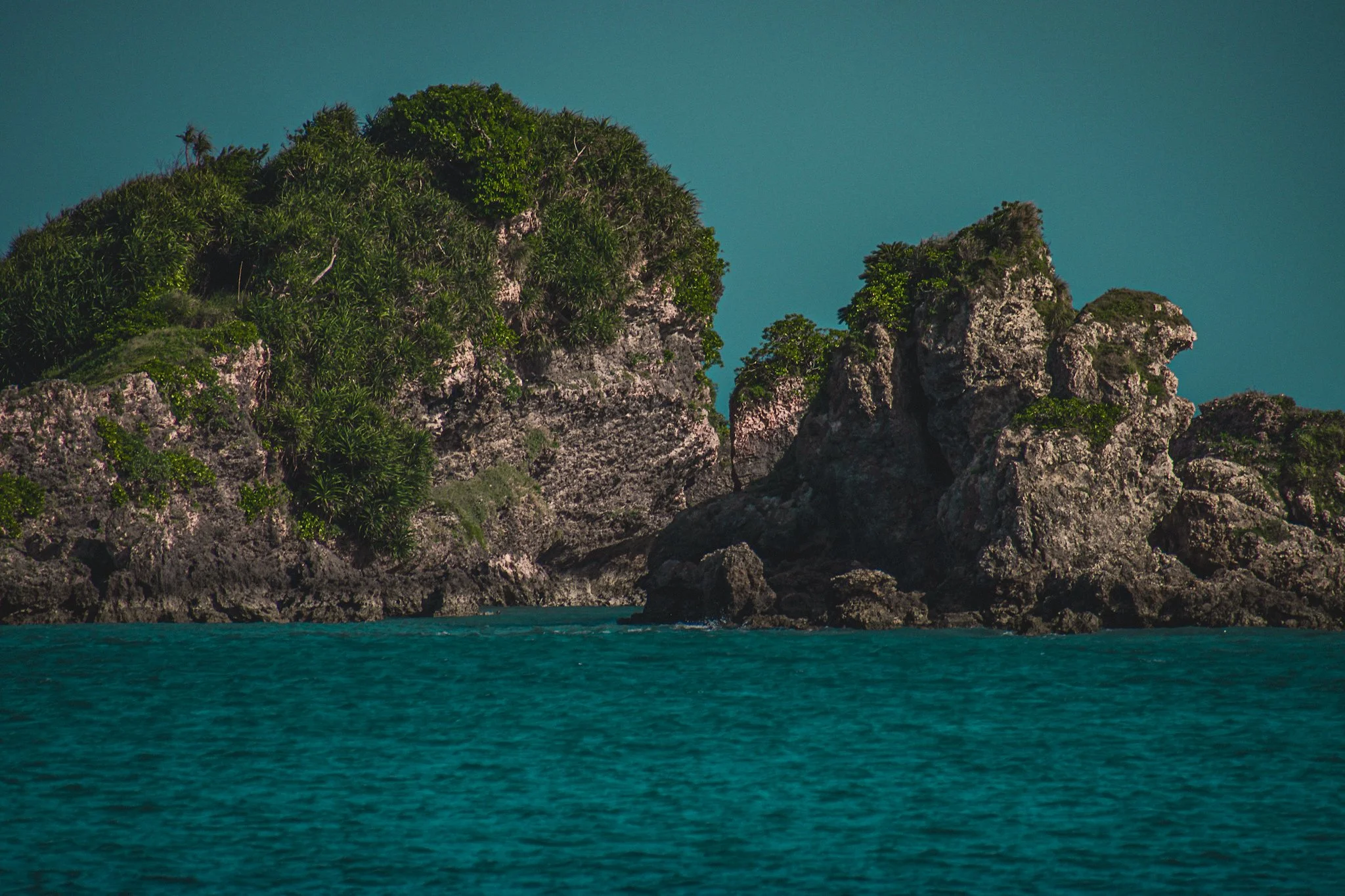 A coastal scene with rock formations covered in green vegetation emerging from turquoise water against a clear sky.