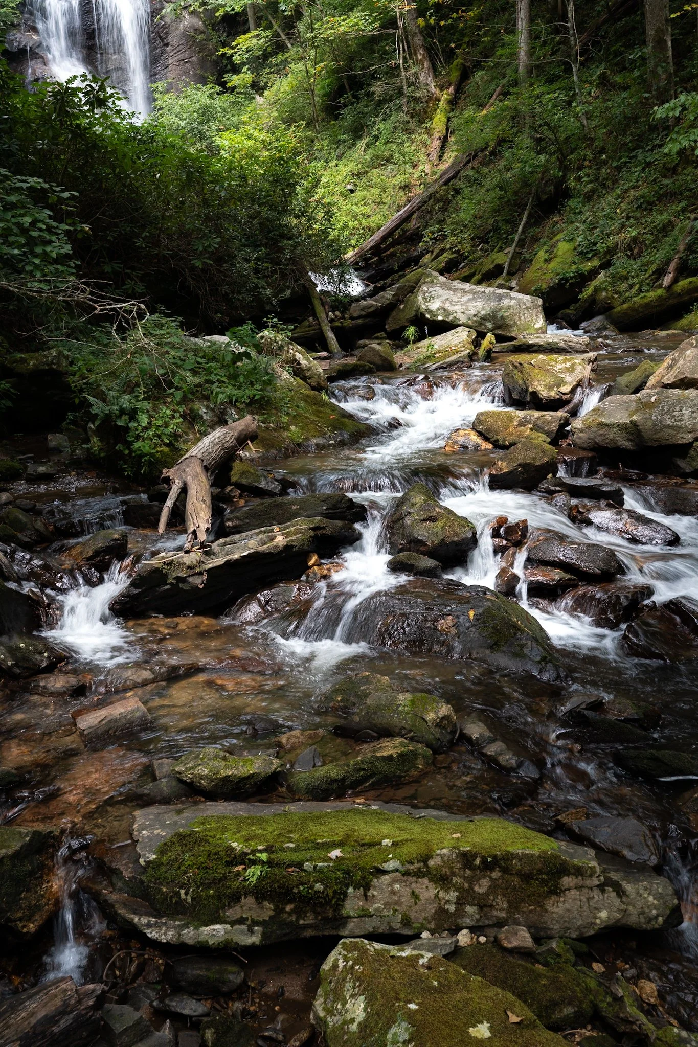 A small waterfall flowing into a rocky creek surrounded by lush, green forest.