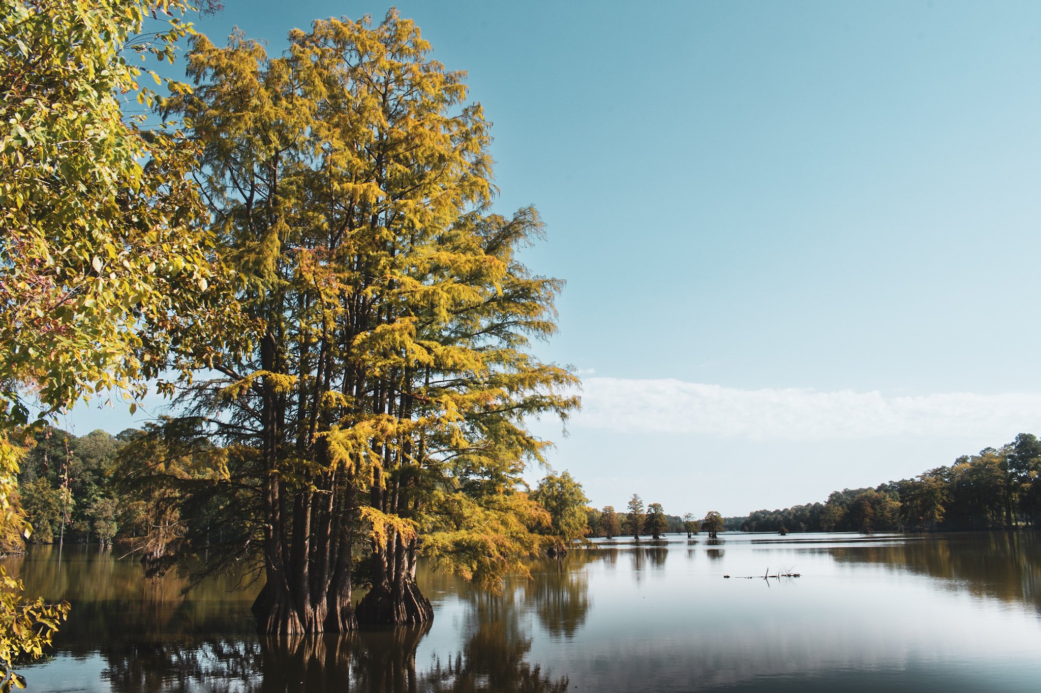 Scenic view of a lake surrounded by trees with autumn foliage, calm water reflecting the trees, under a blue sky with some scattered clouds.