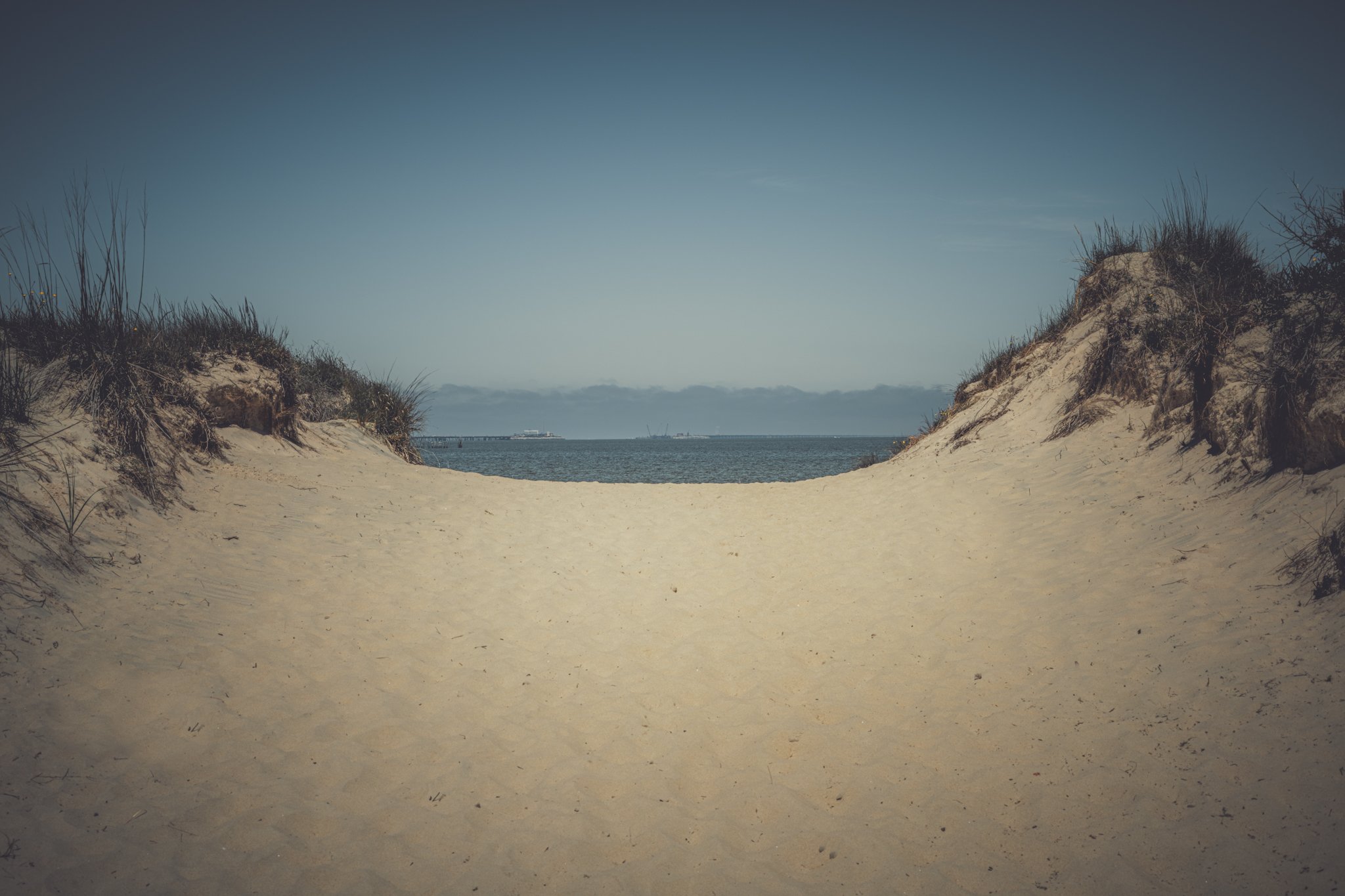 A sandy beach pathway leading to the ocean, flanked by sand dunes with sparse grass and shrubbery, with a clear sky and distant ships on the water.