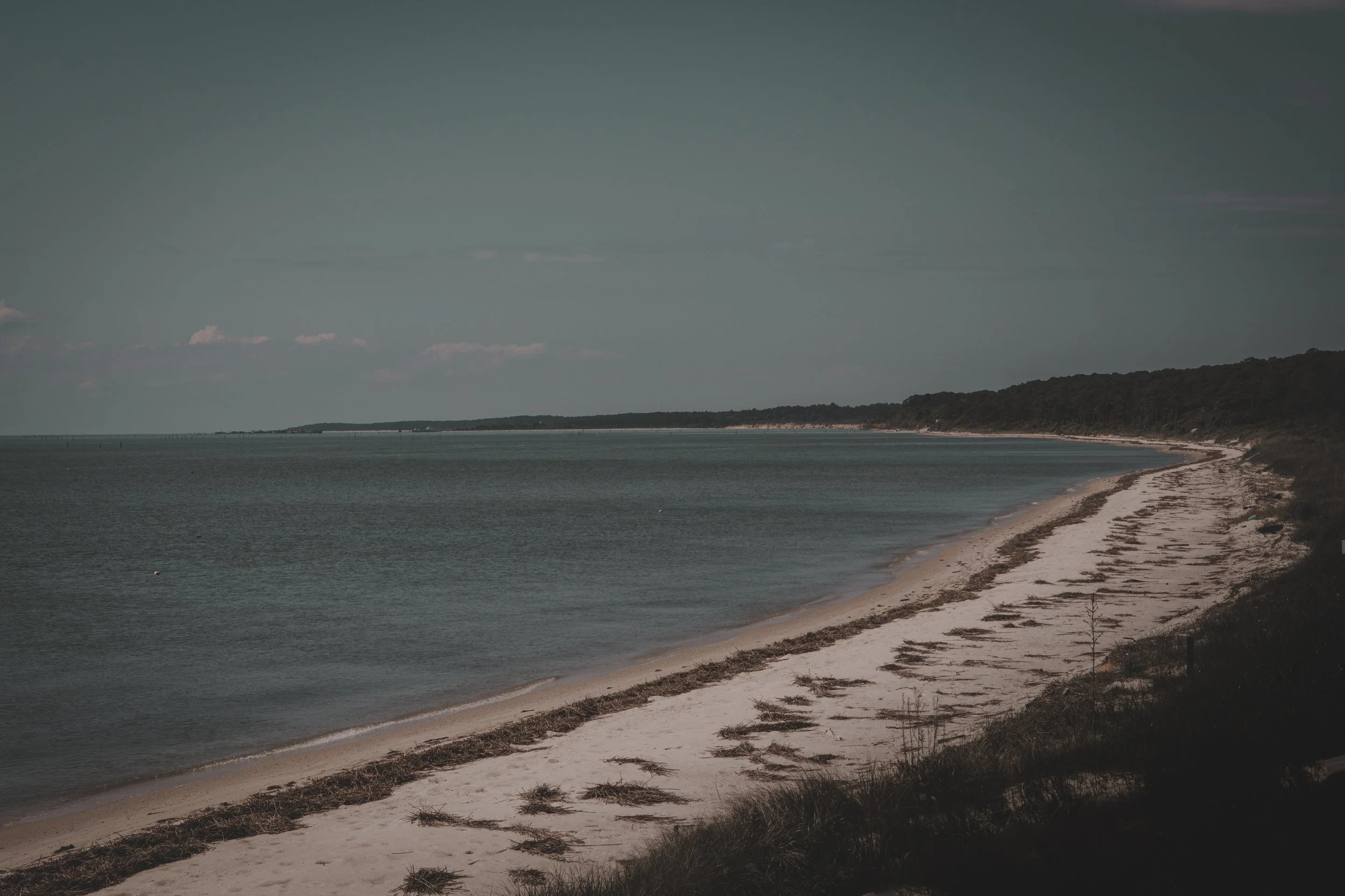 Shores of Time