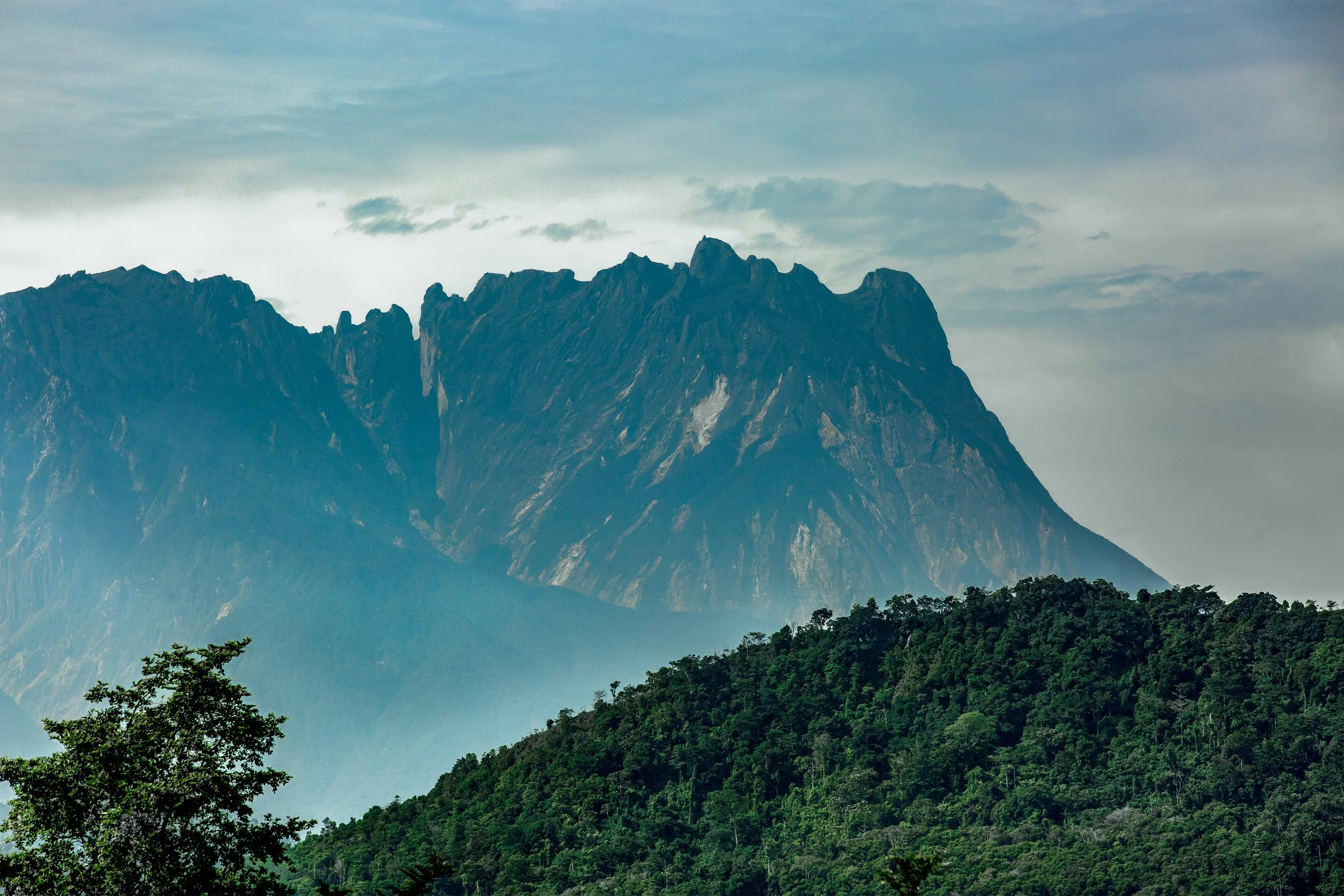 A mountain range with jagged peaks covered in greenery under a cloudy sky, with a forested area in the foreground.