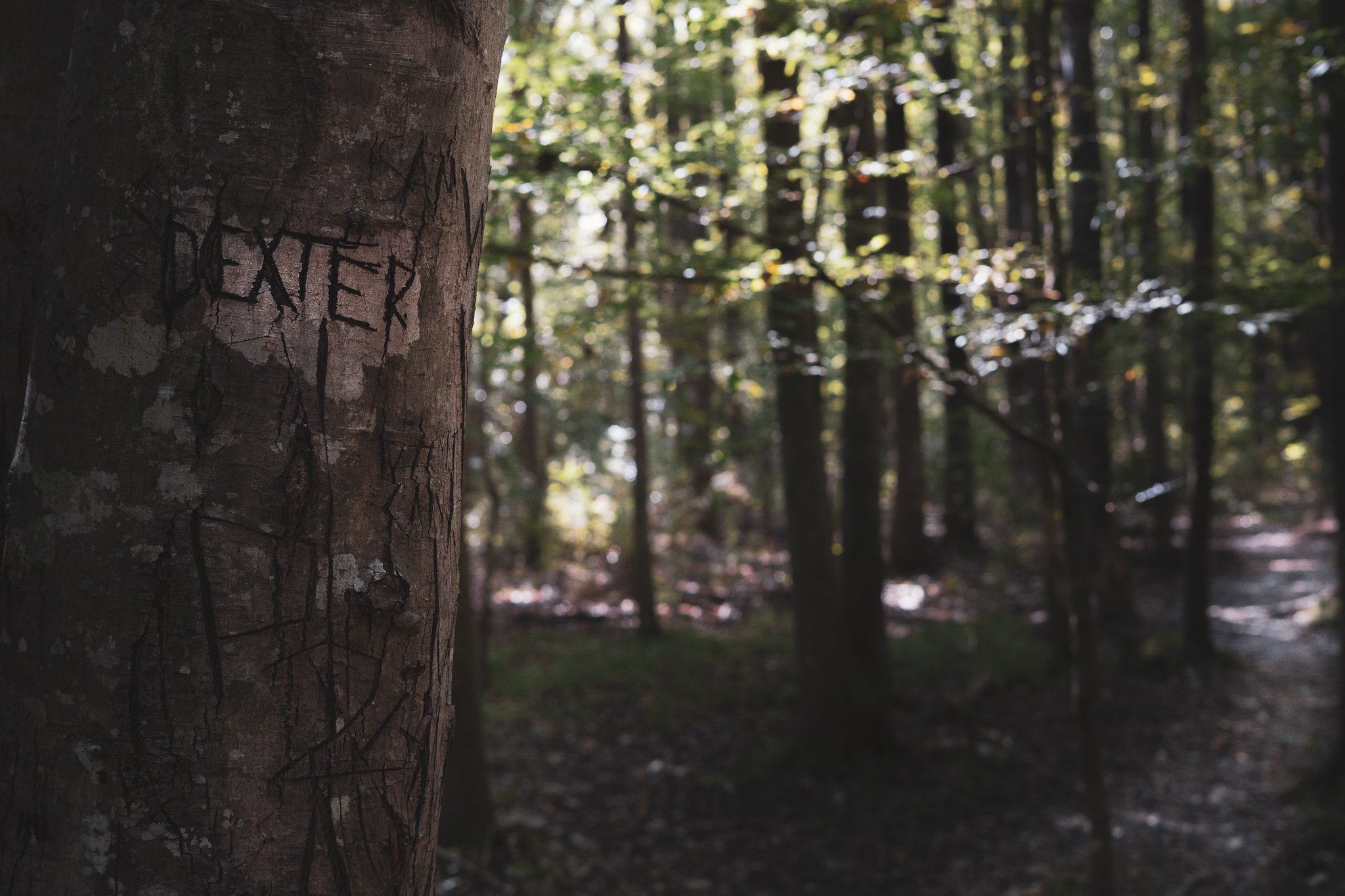 Dexters Path