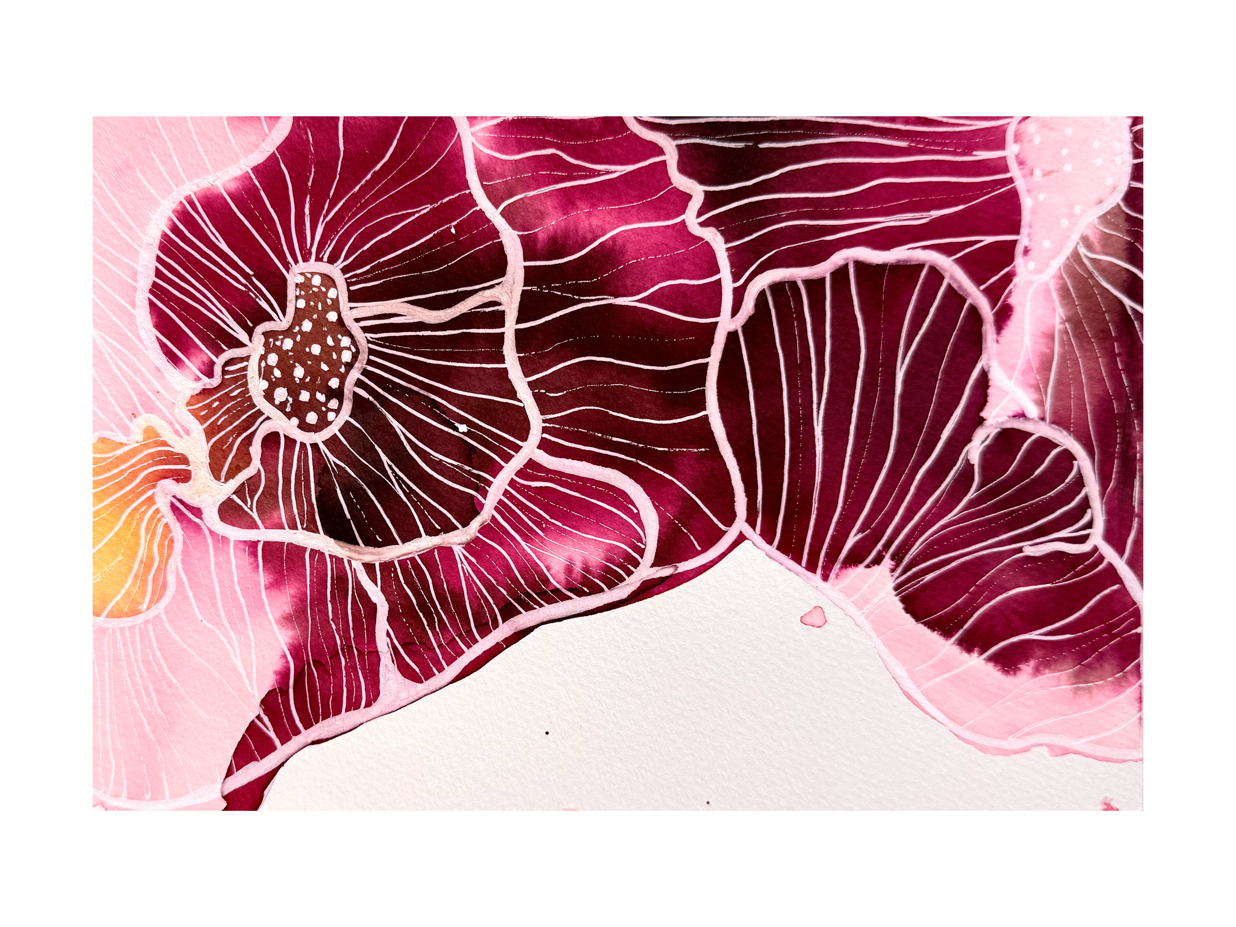 Hidden beauty - Jan 2026