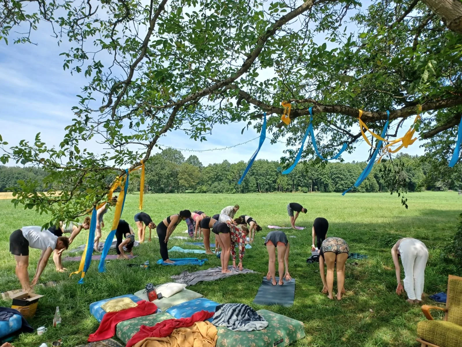 Group of people practicing yoga outdoors in a grassy field under a large tree with blue and yellow ribbons hanging from the branches. The sky is partly cloudy, and dense trees line the horizon in the distance.