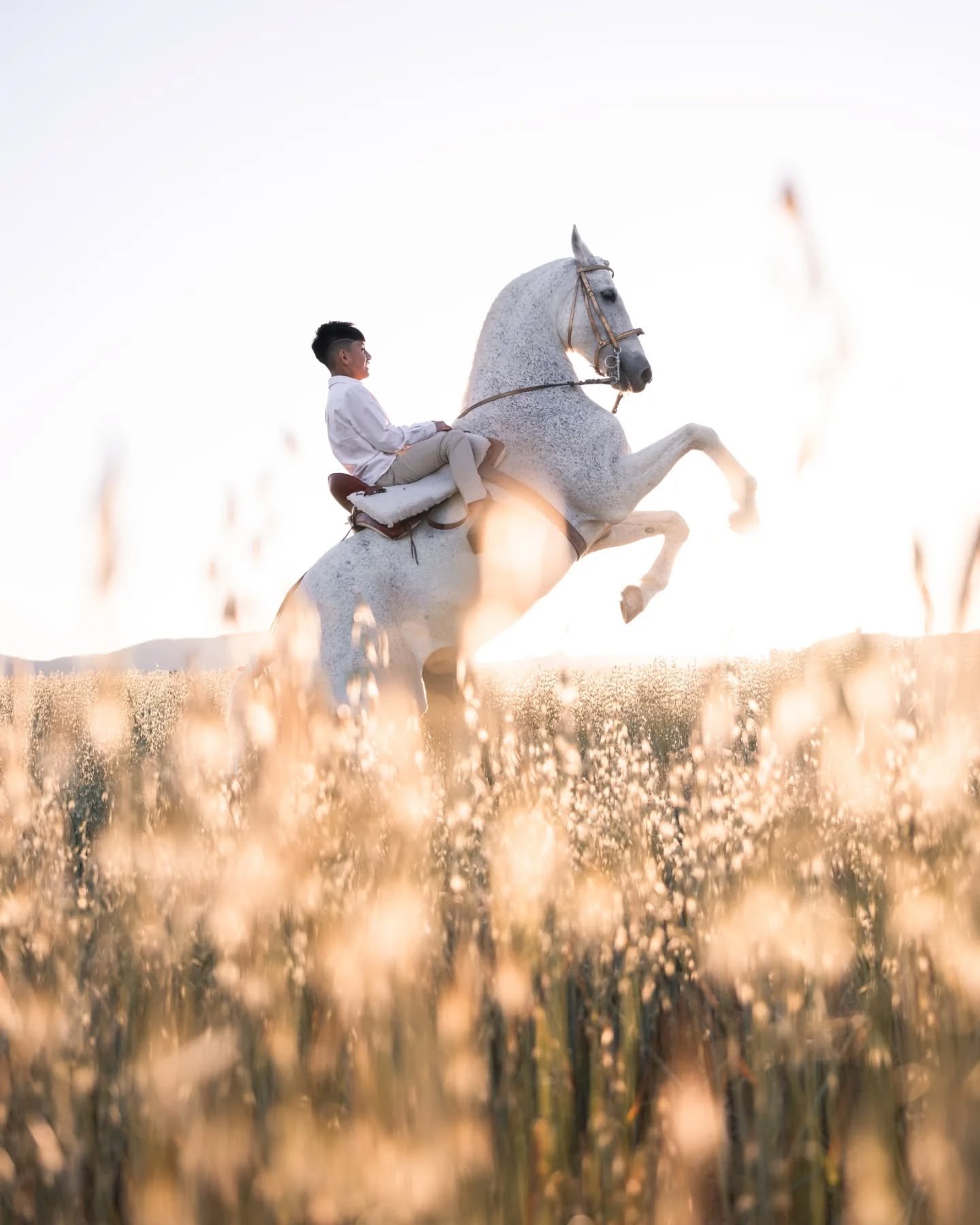 Hay momentos que duran un d&iacute;a y recuerdos que duran toda la vida ✨🐎

&Aacute;ngel tuvo una comuni&oacute;n diferente que estoy seguro que no va a olvidar nunca ✨

Mil  gracias a @clubhipicolailusion por hacerlo posible y a su mam&aacute; @joh