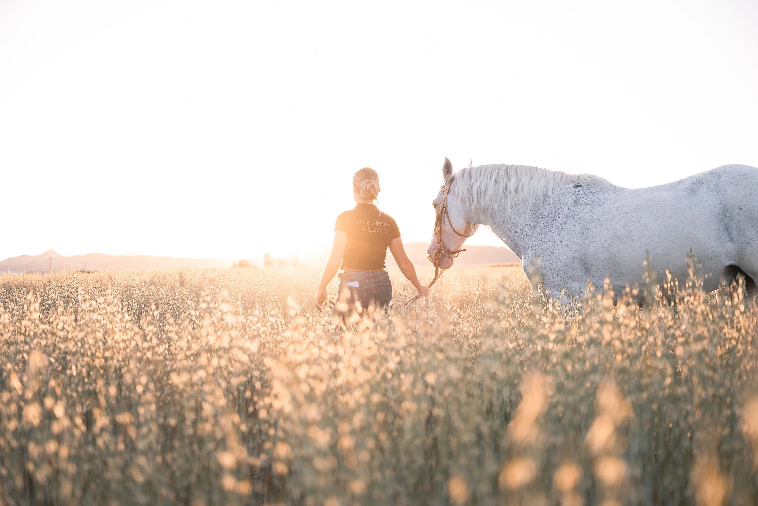 Una mujer con camiseta negra que dice 'Club Hípico La Ilusión' pasea un caballo blanco en un campo de flores al atardecer.