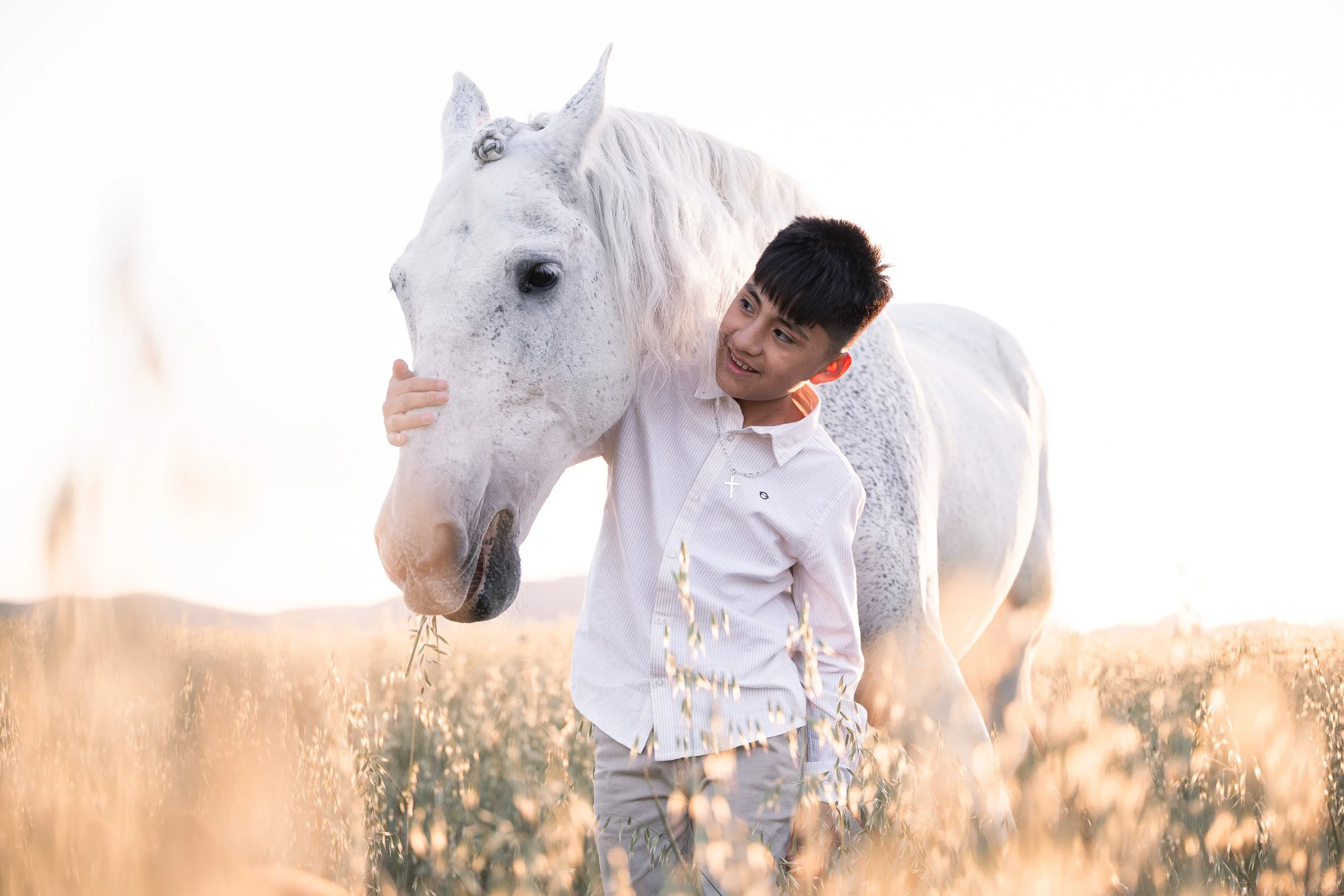 Niño sonriendo y acariciando un caballo blanco en un campo de hierba al atardecer.