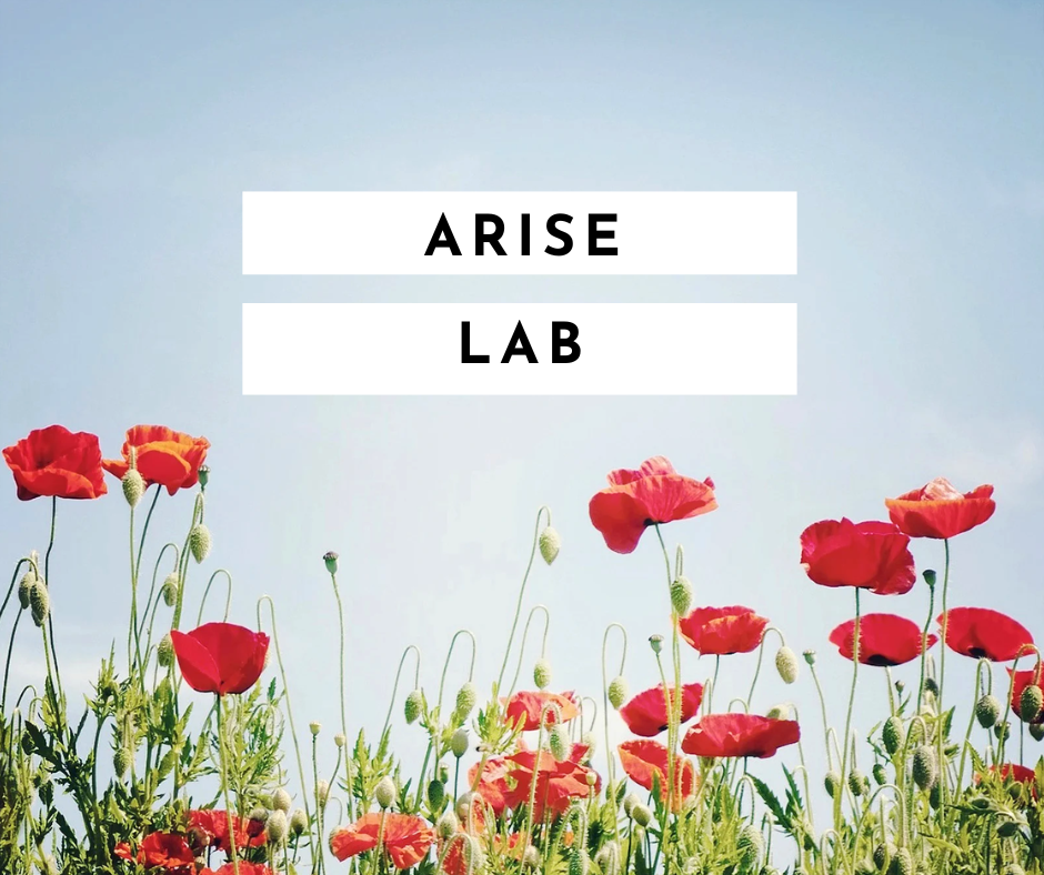 ARISE Lab