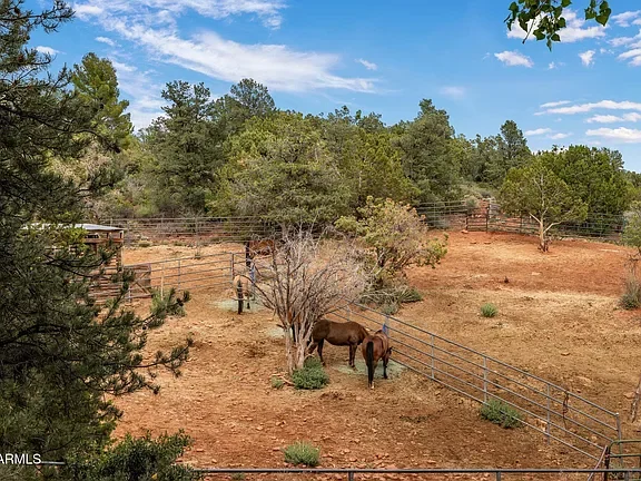 Fenced outdoor area with two horses grazing near a leafless tree, surrounded by trees and shrubs under a partly cloudy sky.