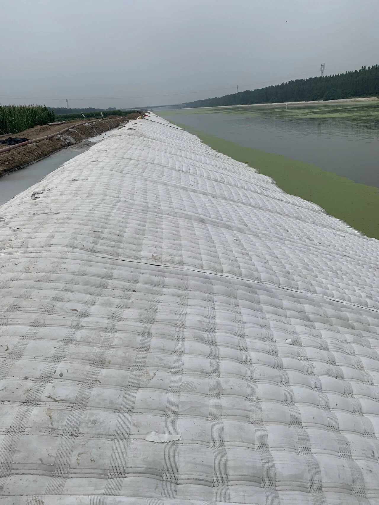 Thảm địa kỹ thuật bê tông (Concrete Mattresses)