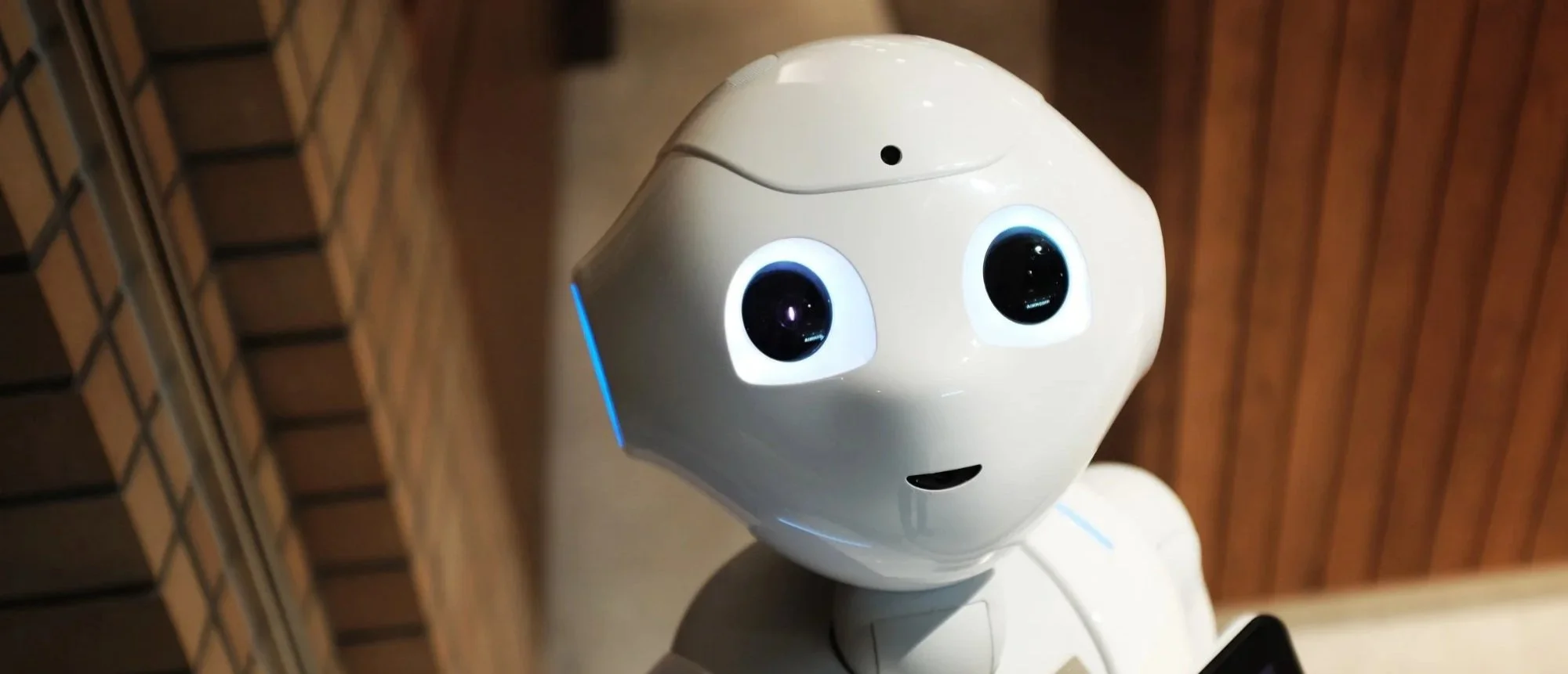 A cute looking robot