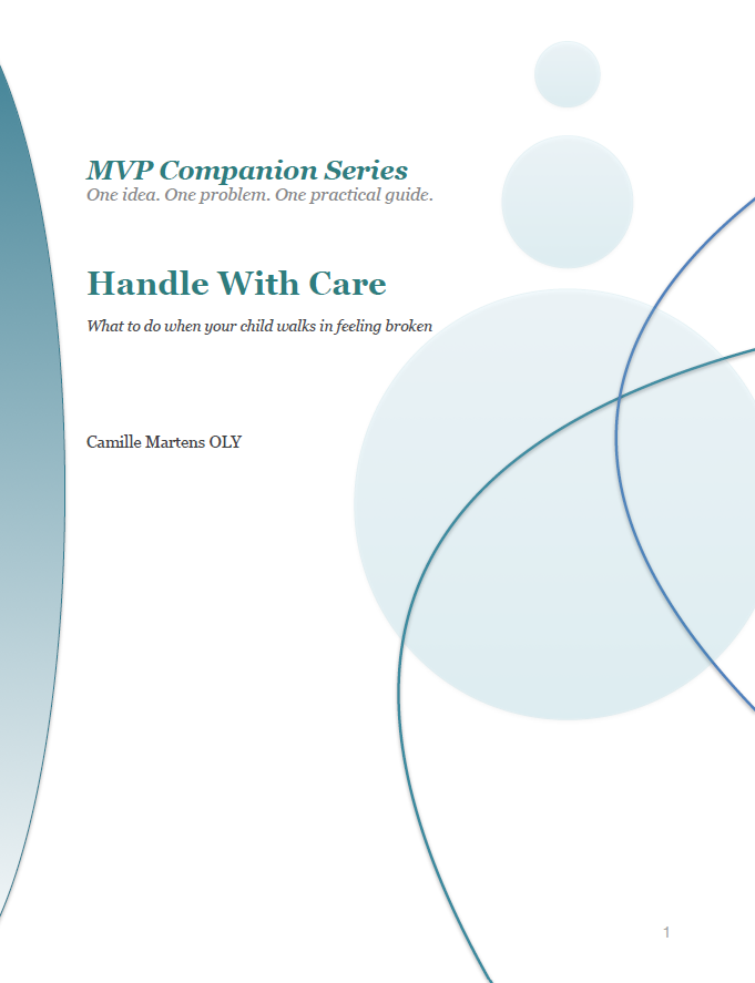 02 Handle with Care - MVP Companion Series - One idea. One problem. One practical guide.