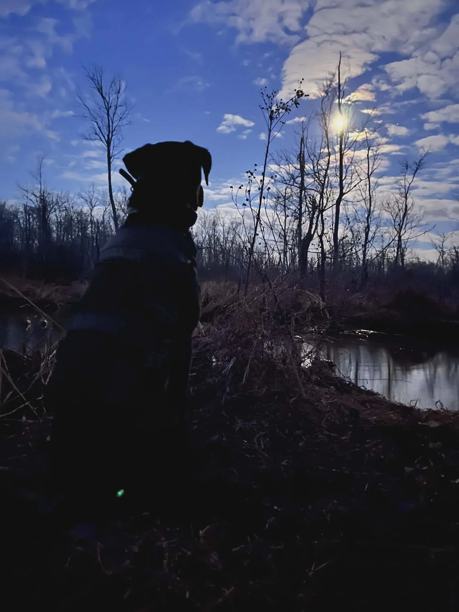 Silhouette of a person wearing a backpack in a wilderness area near a small river, with leafless trees and a partly cloudy sky during sunset or sunrise.