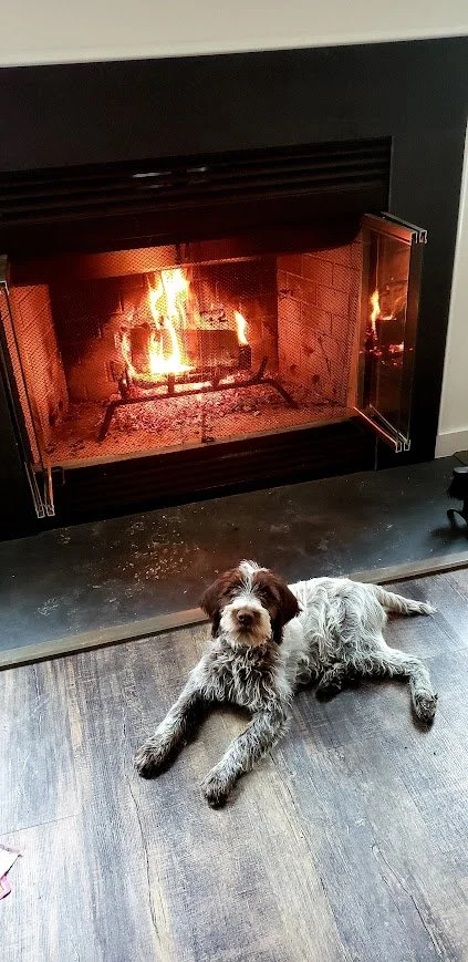 A dog lying on the floor in front of a lit fireplace with a burning fire inside.