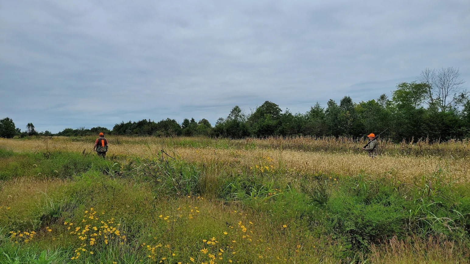 Two hunters in orange hats walking through a grassy field with trees in the background during overcast weather.