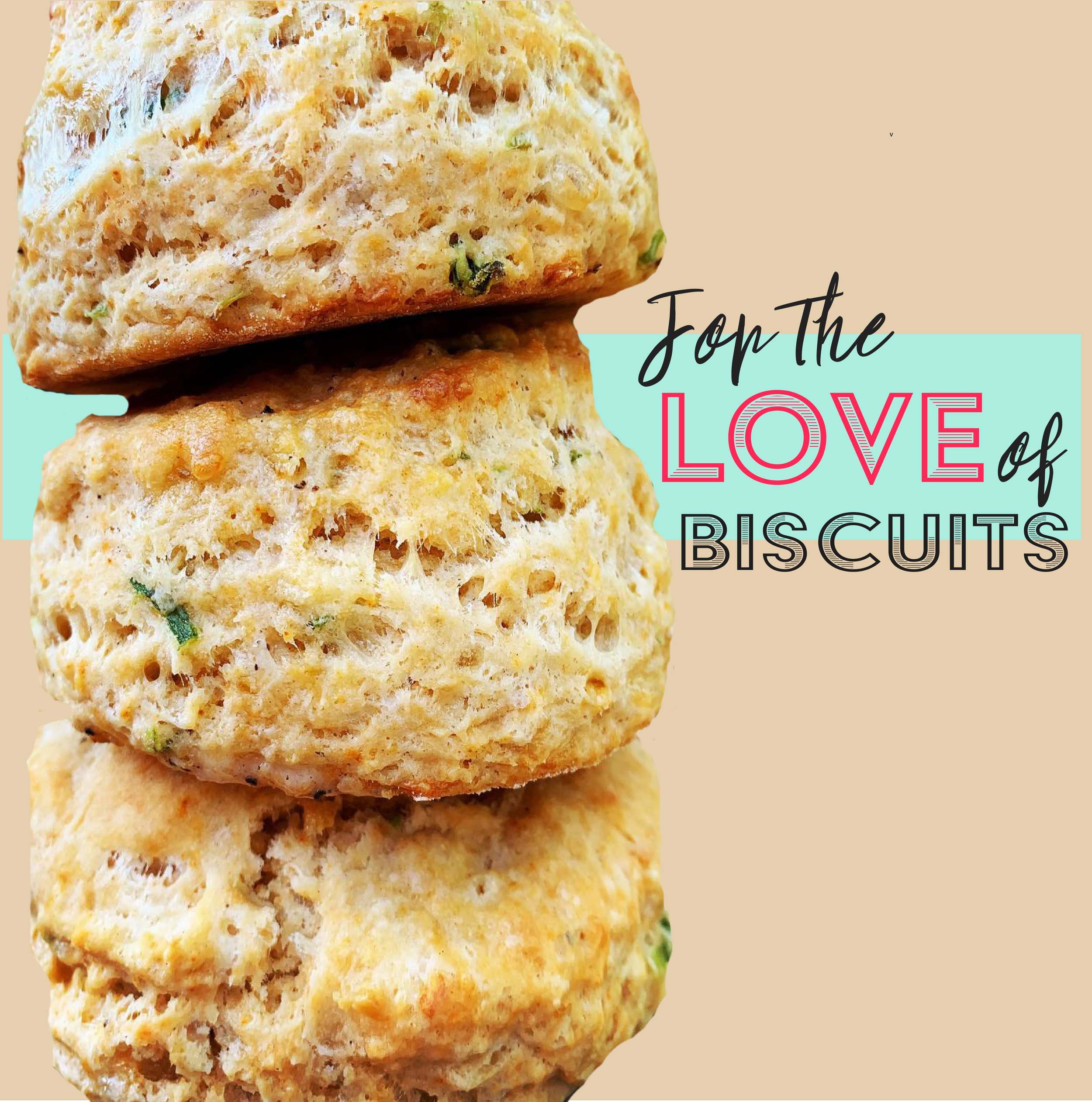 Recipe Book (Chunk Belly Biscuits Cover).png