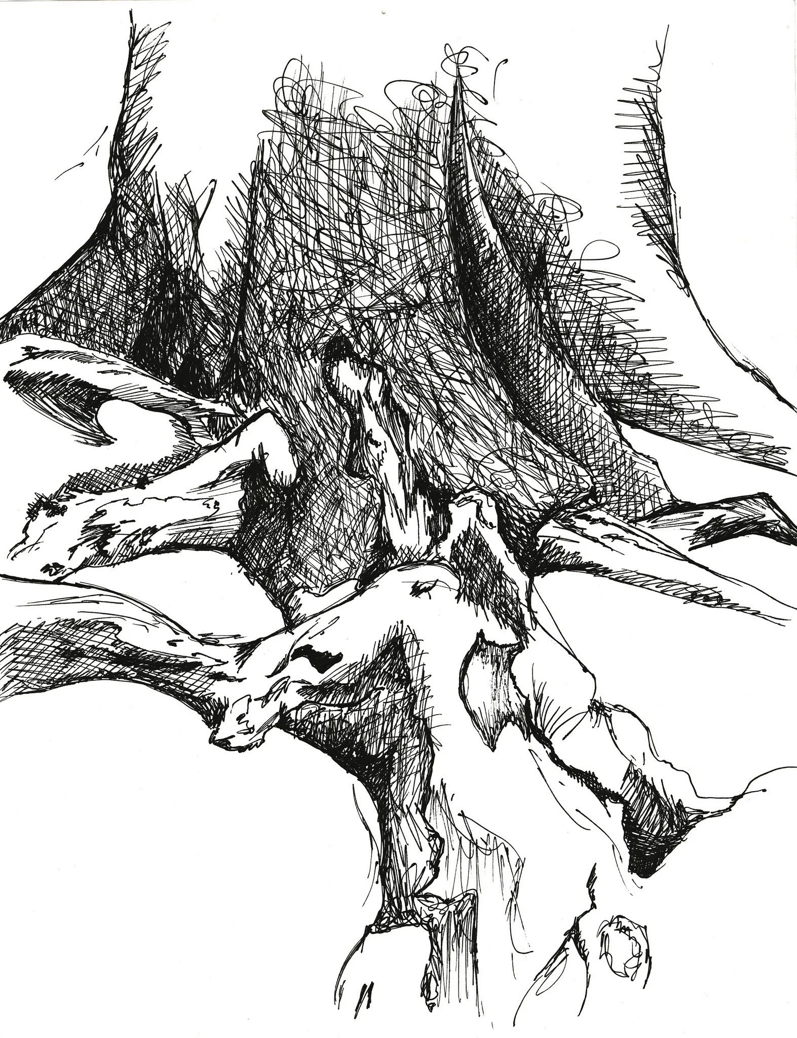 Copy of Visual (Roots).jpg