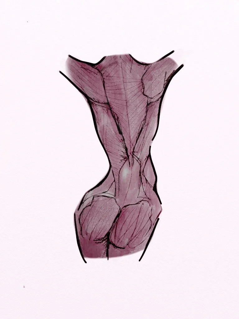 Copy of Copy of Illustrations (Body).jpg