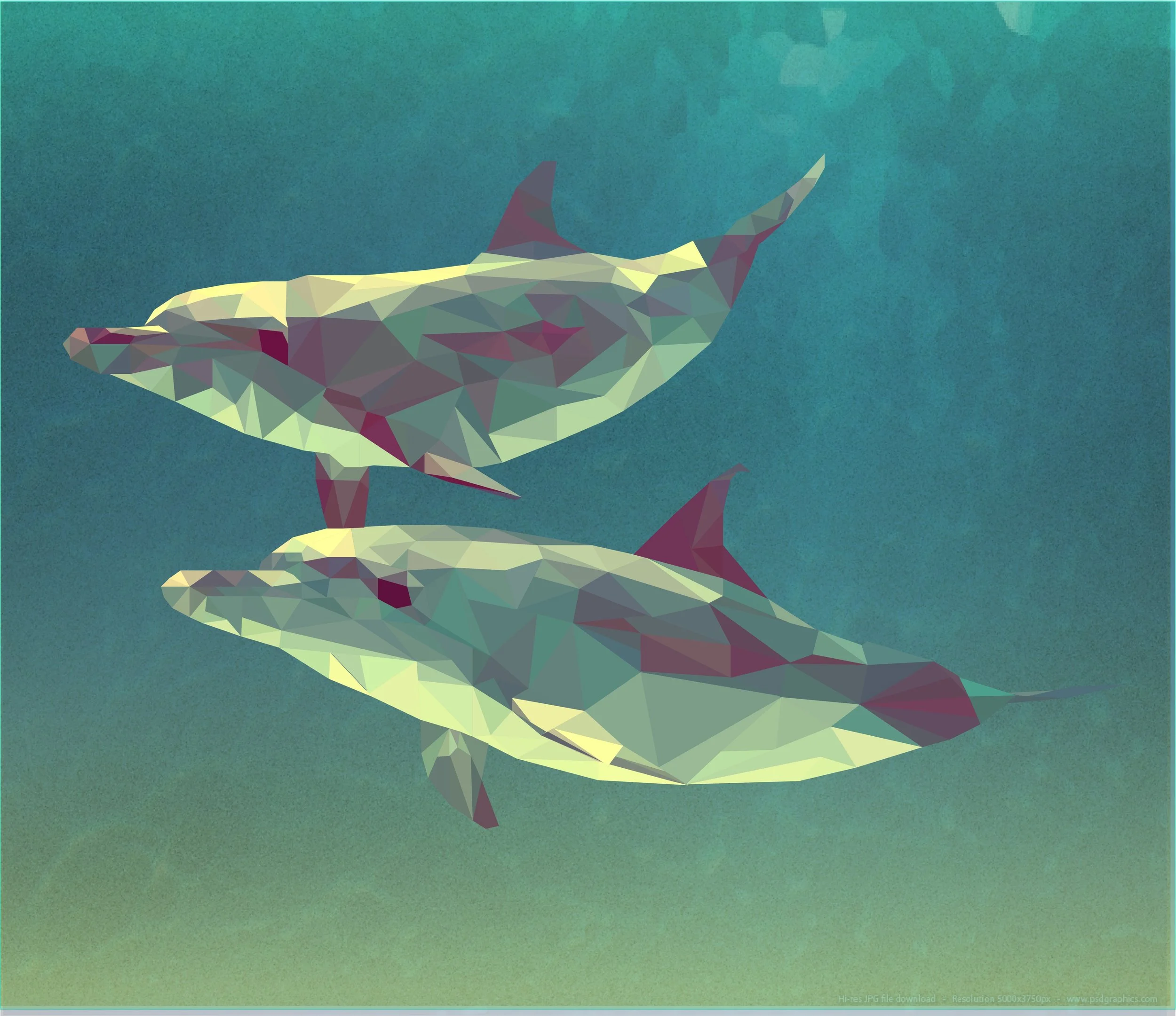 Low Poly (Dolphins).jpg