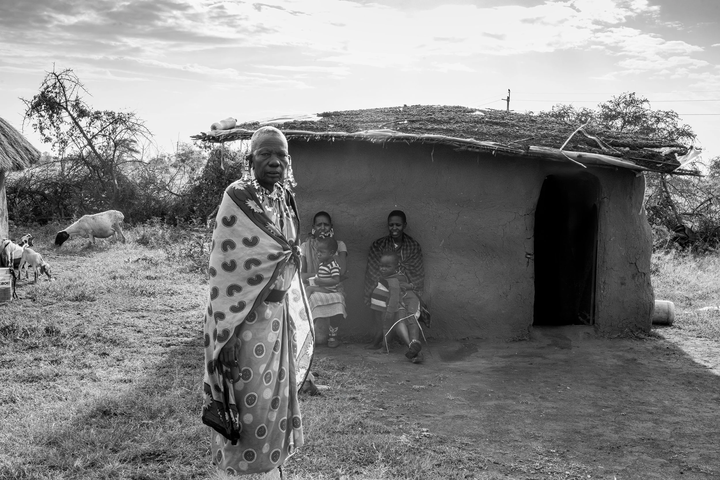 World Photography 21 (The Serengeti)