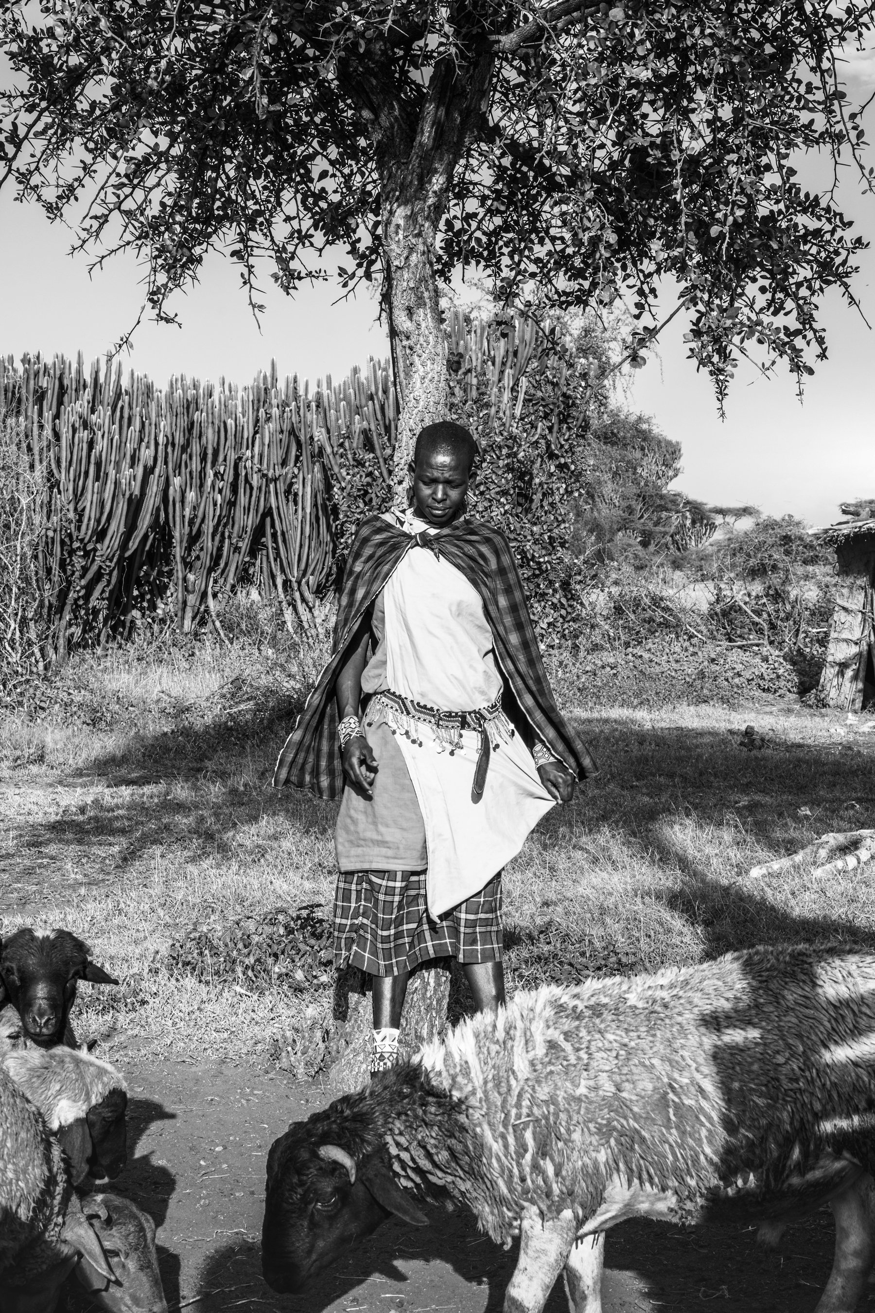 Maasai I
