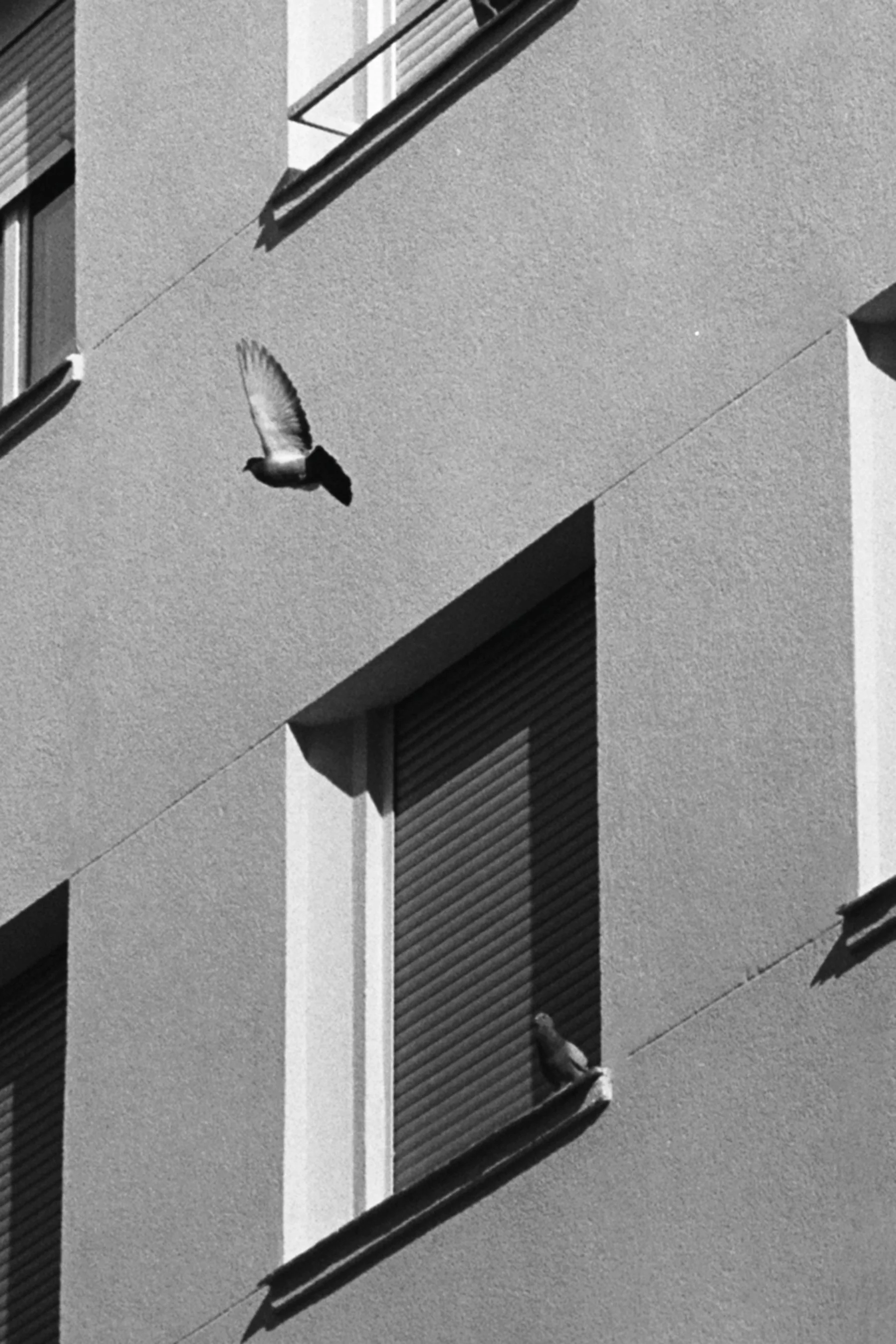 Madrid, ESP I 400 TX I Nikon F100