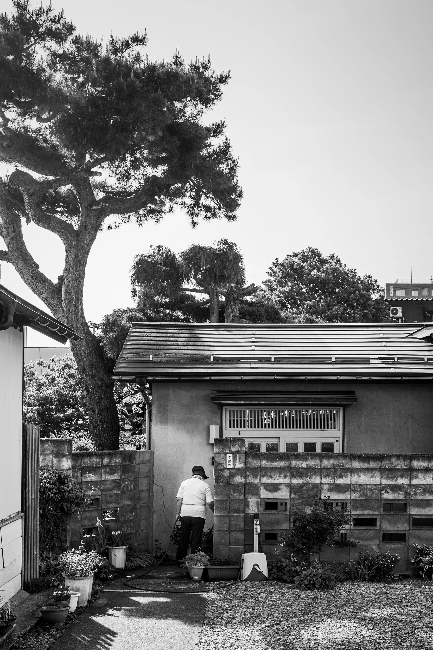 World Photography 24 (Aizuwakamatsu, JPN)